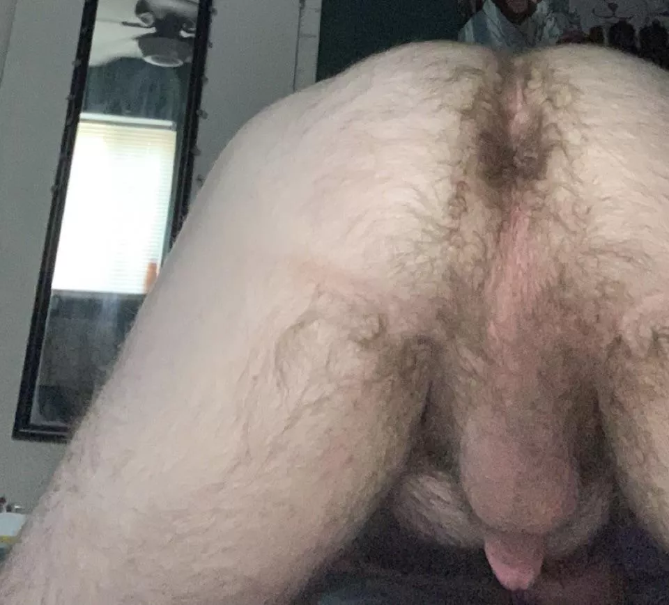 Do you like hairy guys?