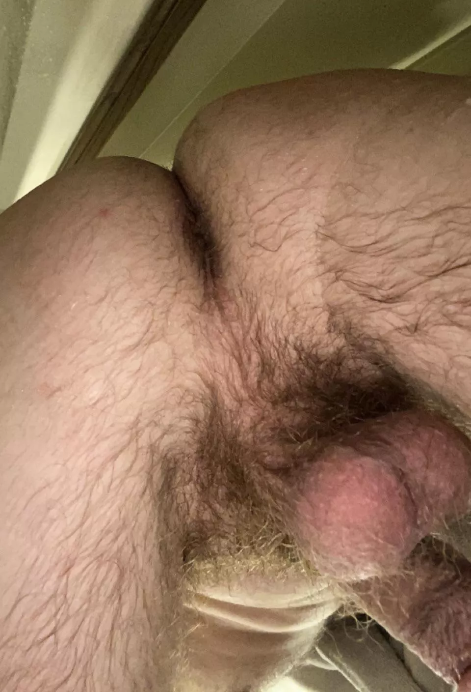 Do you like hairy taint