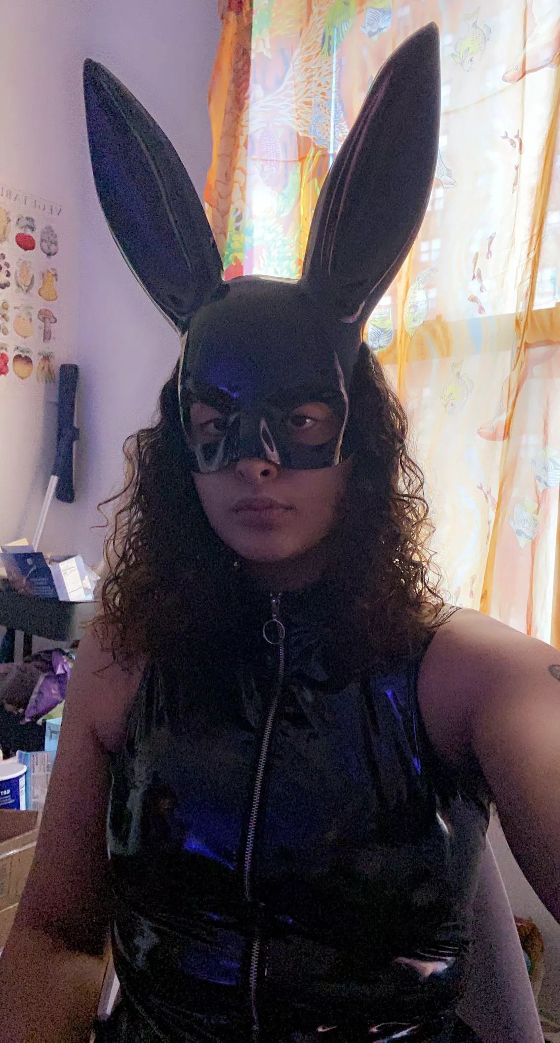 do you like leather bunnies?