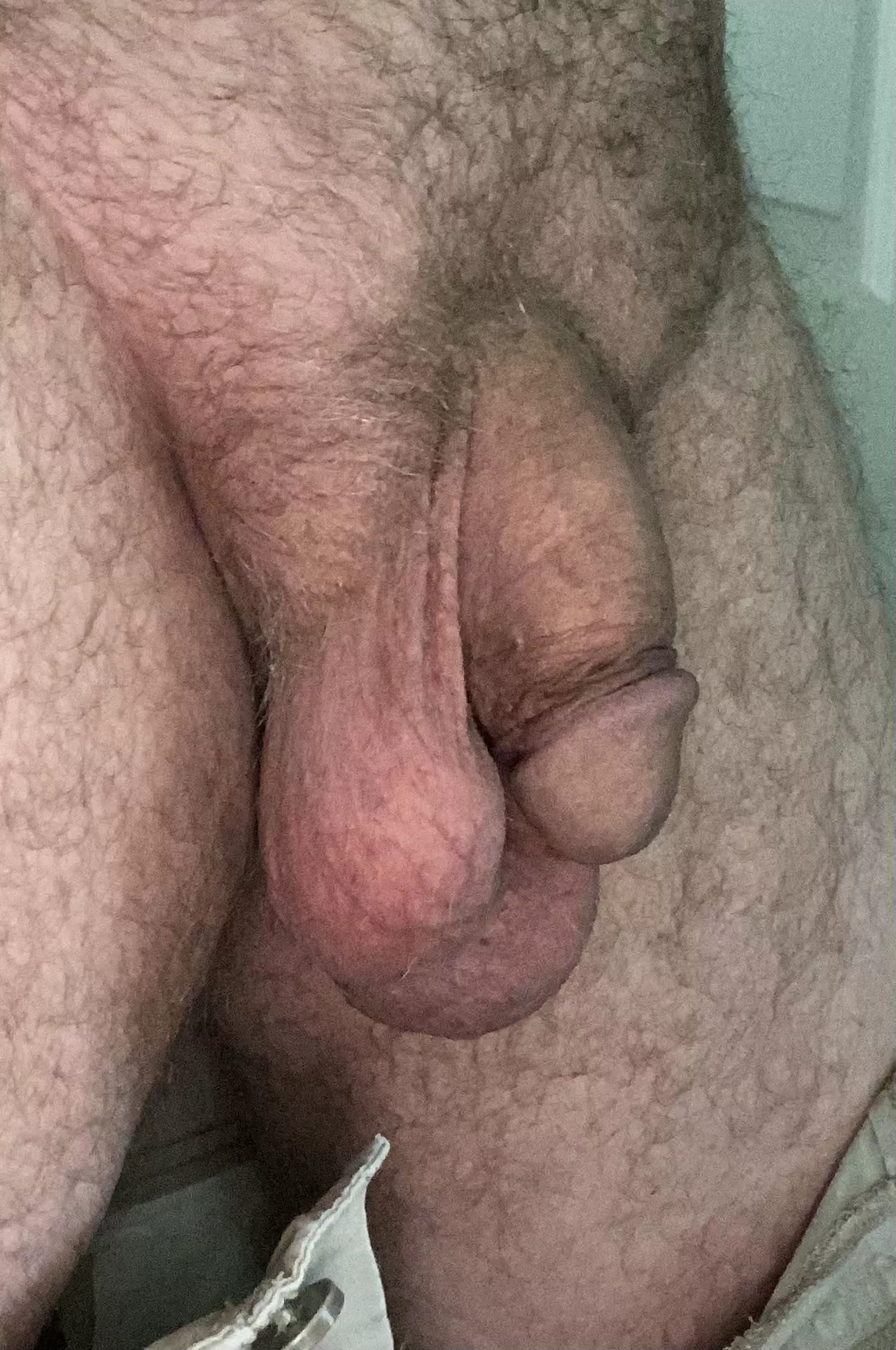 Do you like softies? (54)