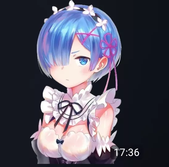 DOES THIS image of rem have nipples showing?