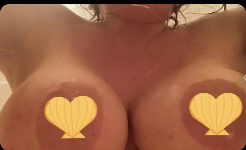 🐚Don't be shellous of my boobs!🌊