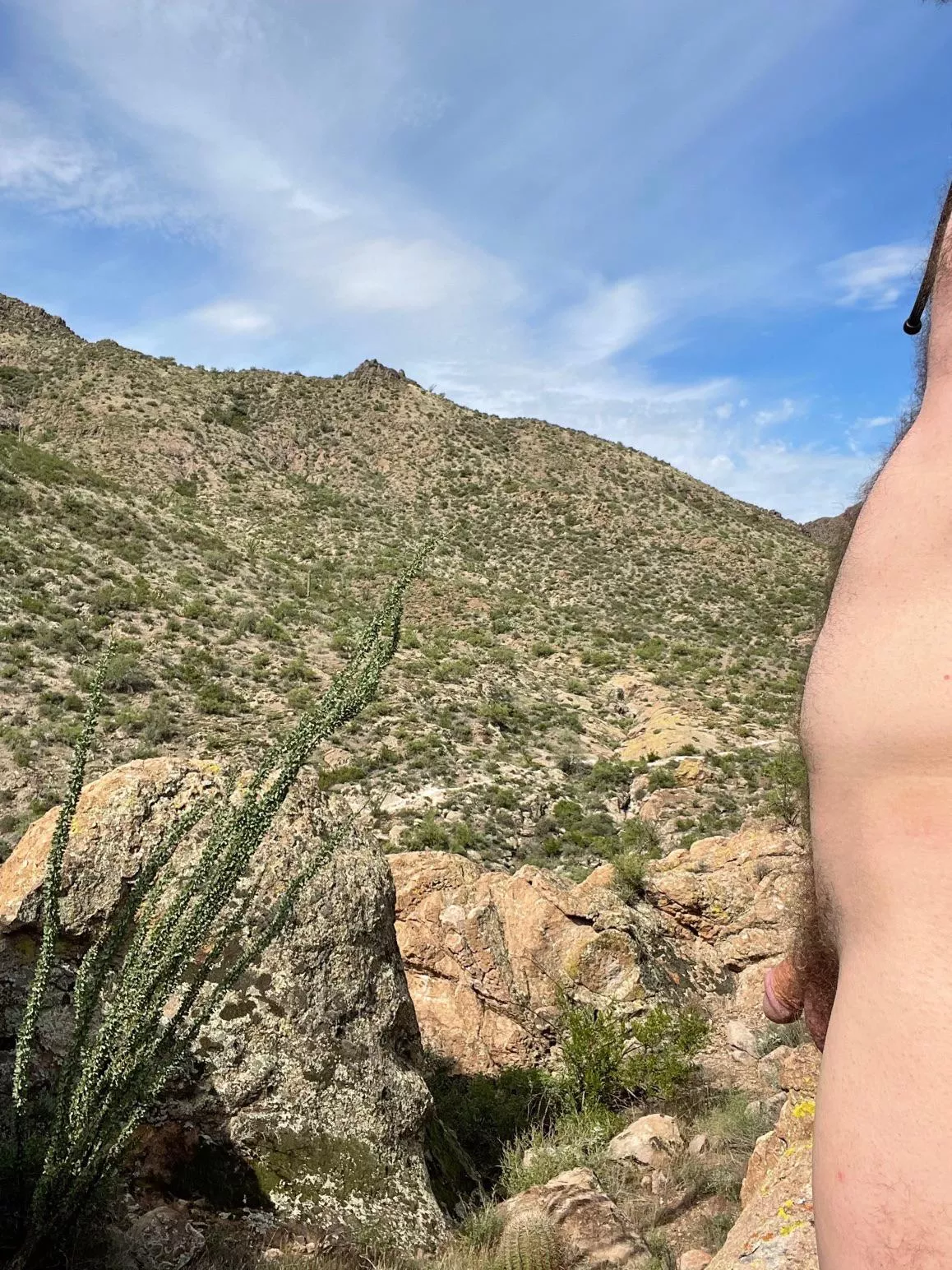 Enjoying an overlook of the trail below