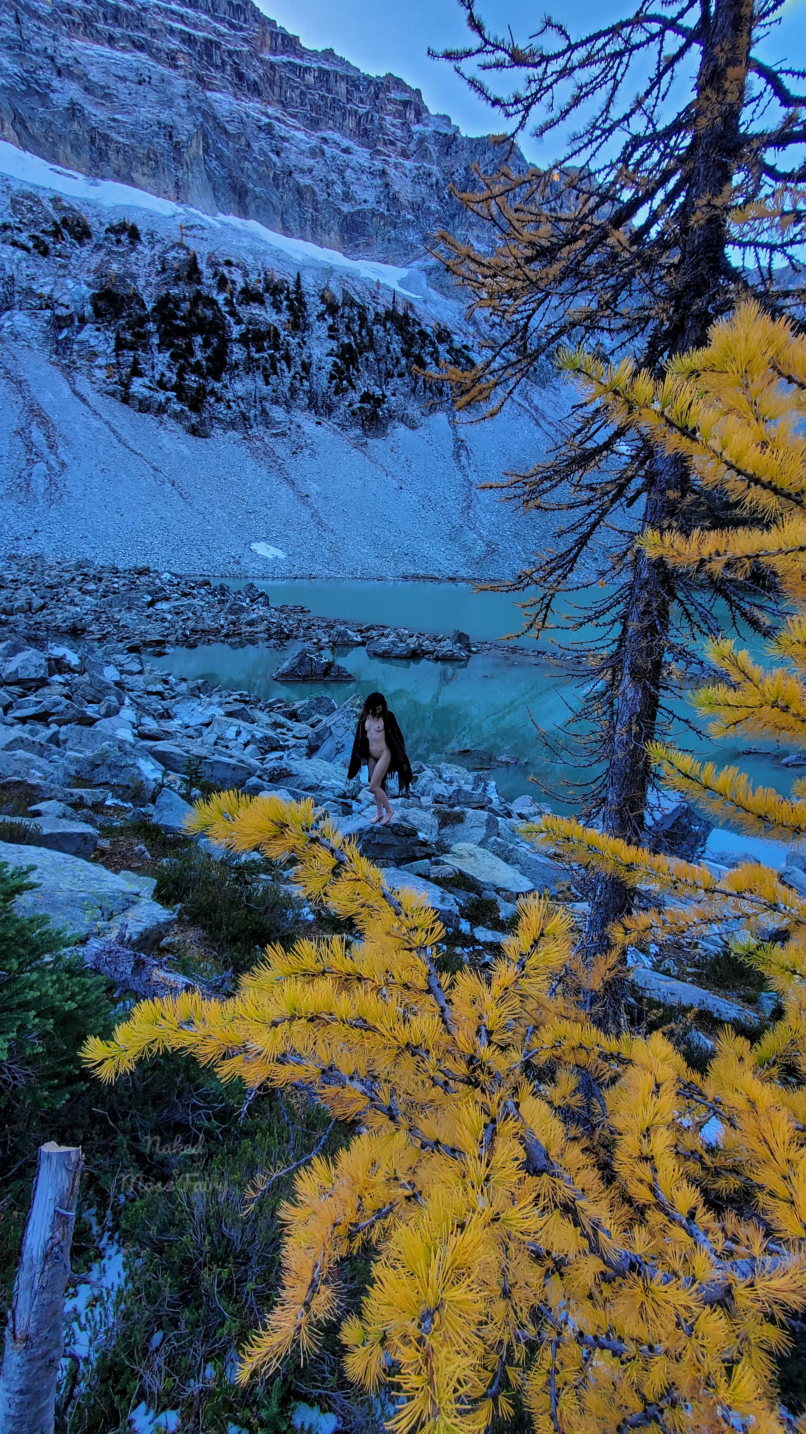 Even though it was freezing, I had to get naked with the Golden Larches!😋💛