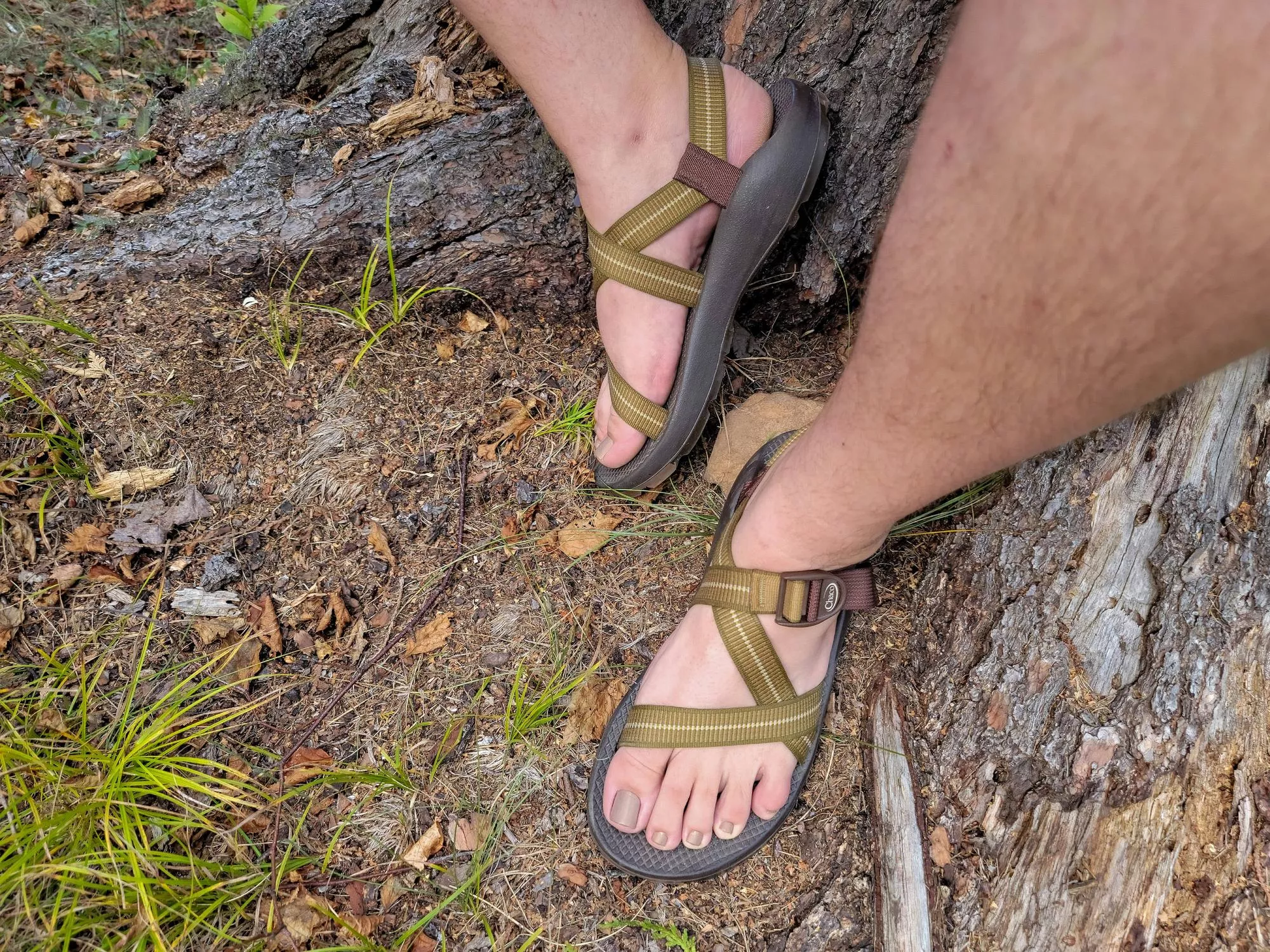 Evening walk in the woods, resting on a stump... could use a massage now if anyone's willing?