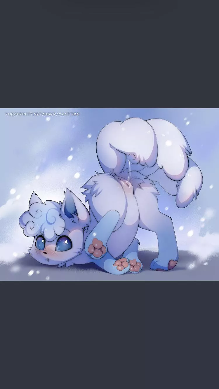 [F] (Castitas) aloan vulpix looks so adorable 🥰