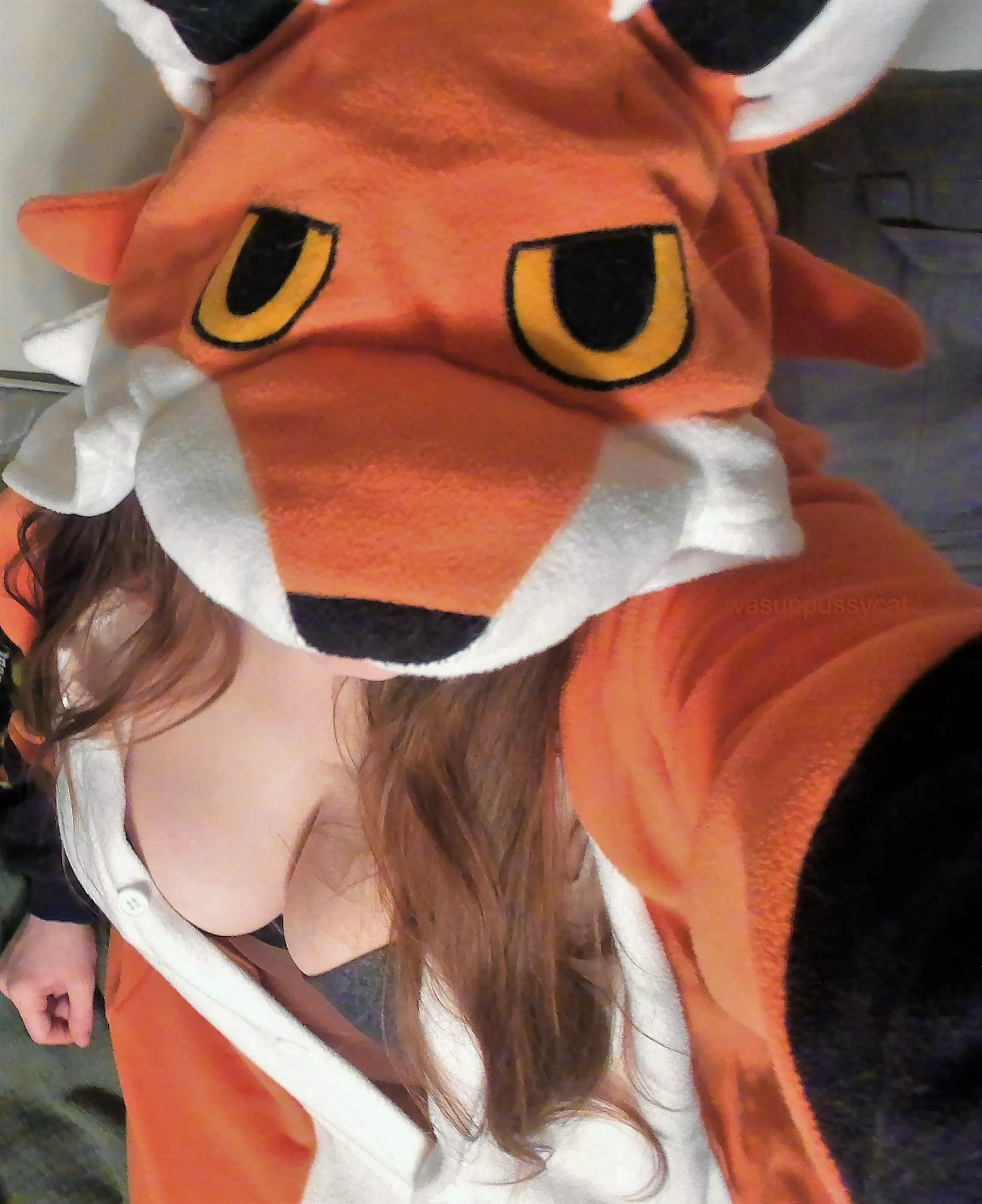 {f] comfy, cozy and FOXY!