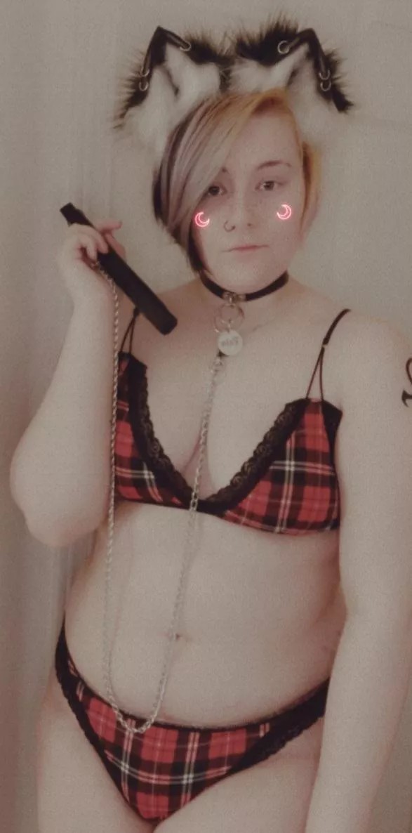 (F19) leashed kitten! â›“ðŸ¾