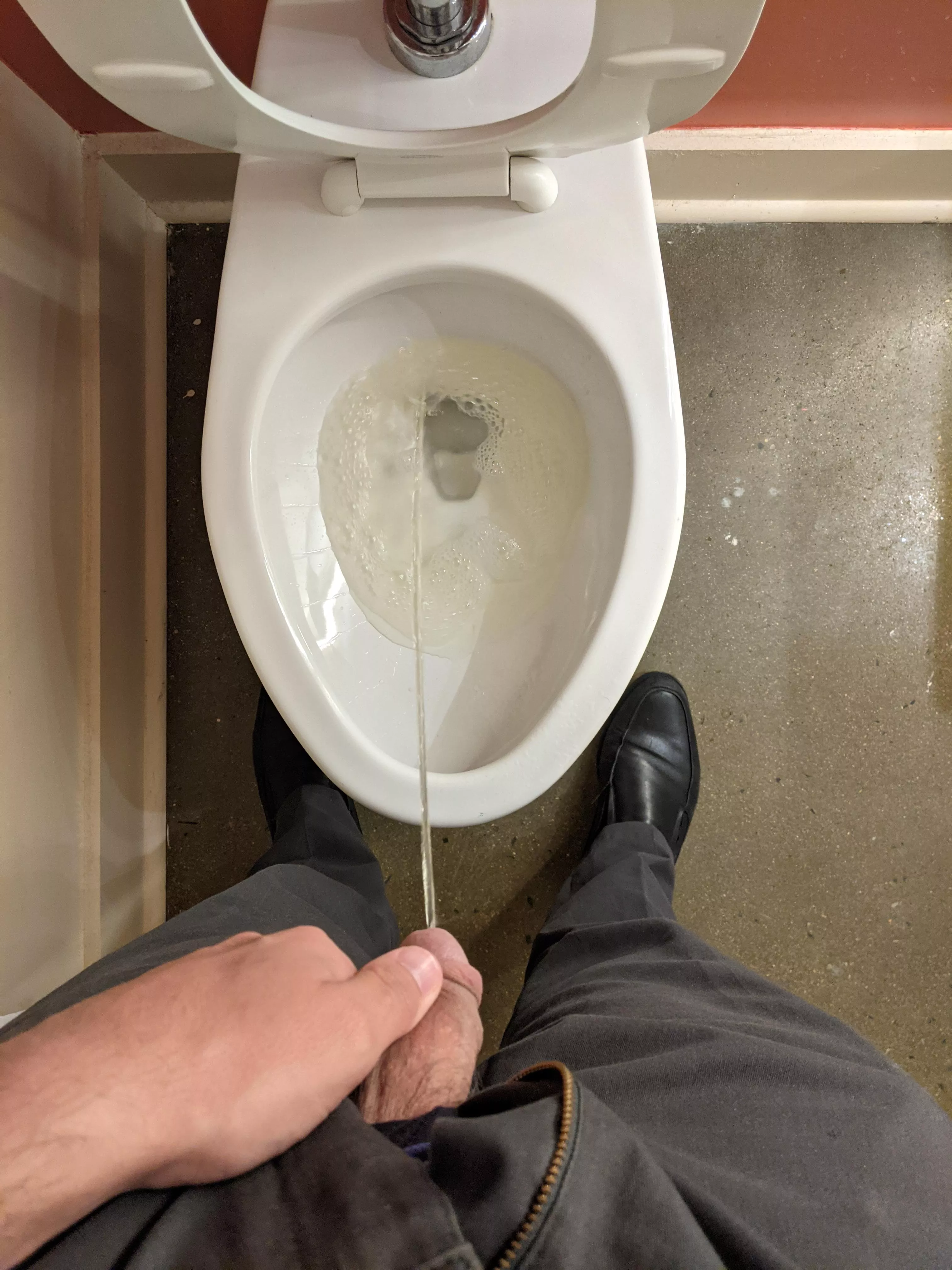 Fancy restaurant bathroom, regular ol' pissing