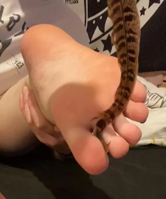 Feather tickles from a livestream we did