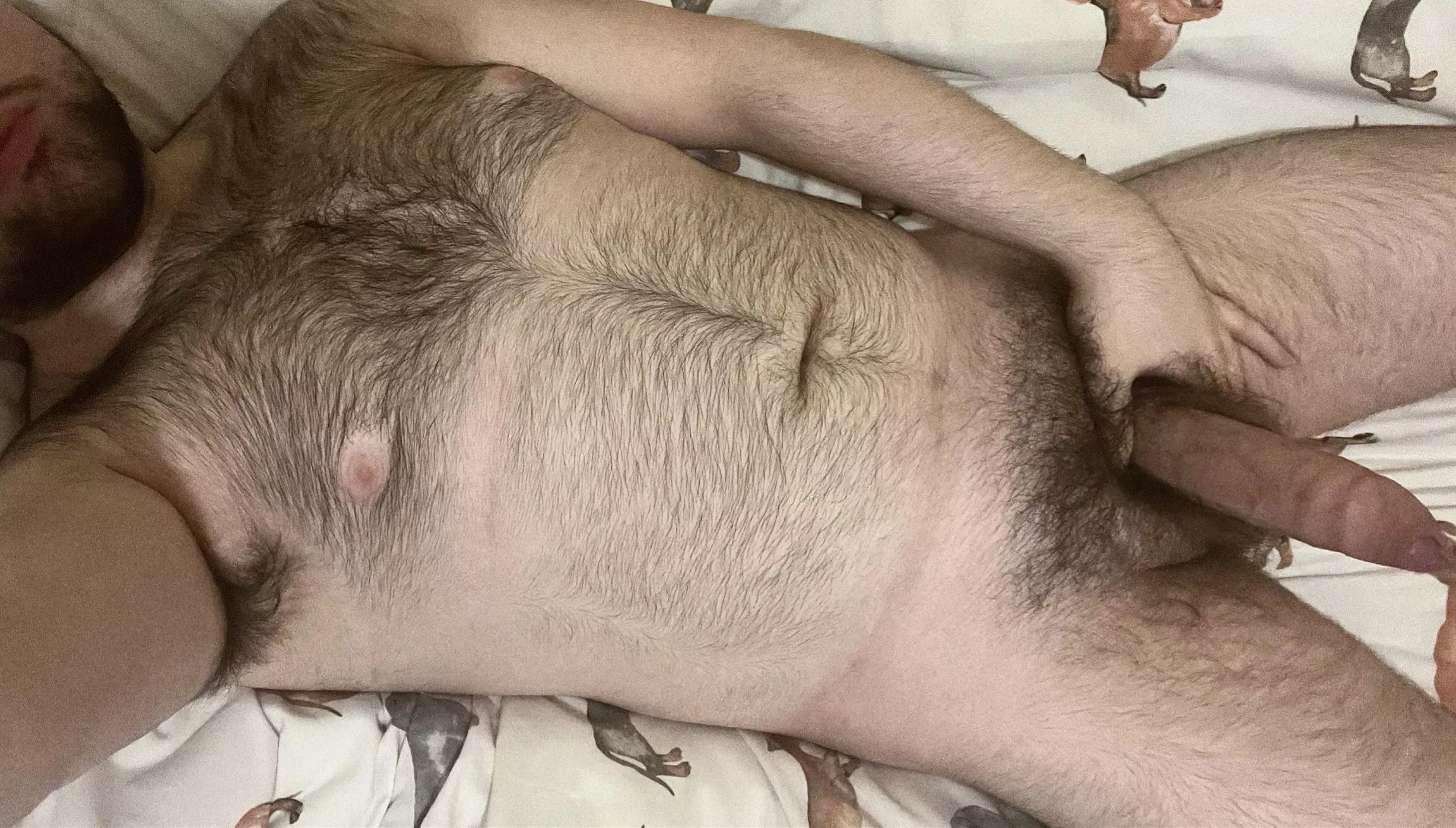 Feel all this fur as you suck my cockðŸ»