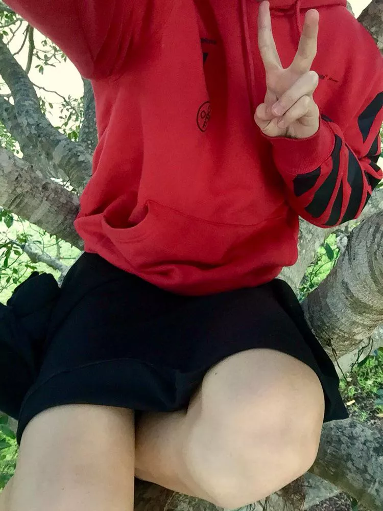 Femboy in a tree, what will he do