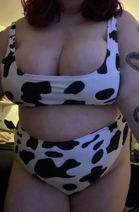 first post here! do i make a good, milky cow?