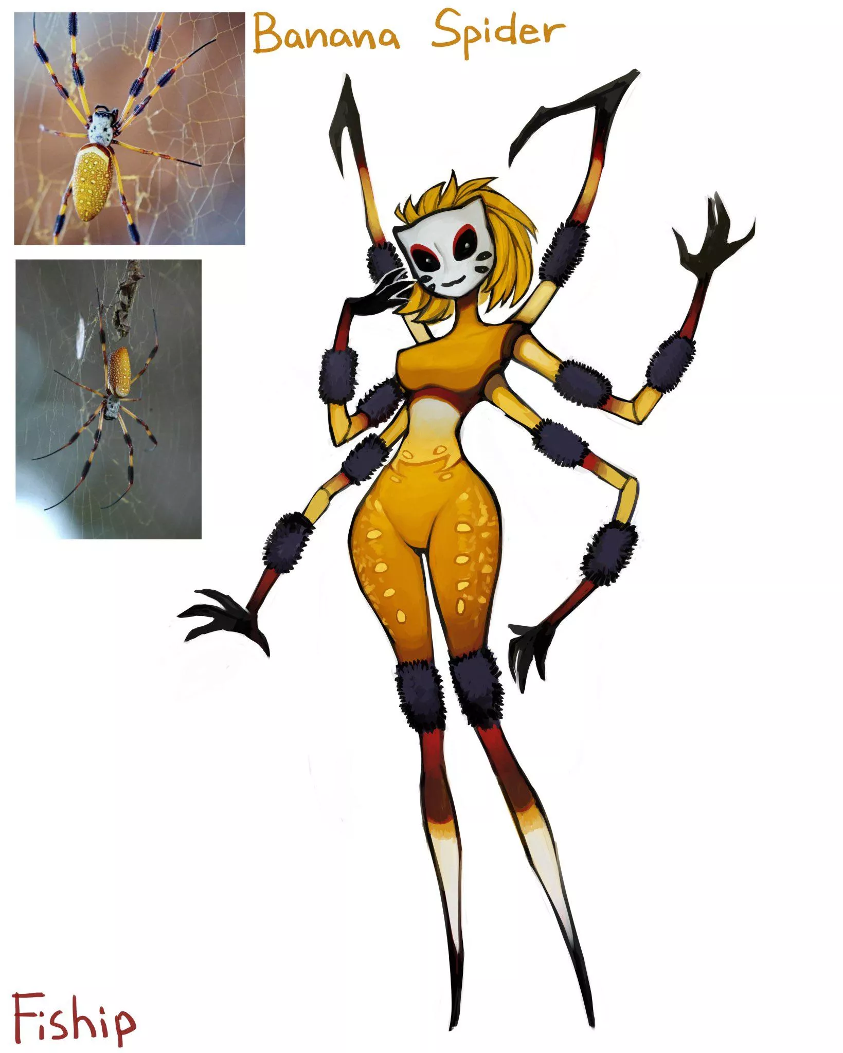 [Fiship] Banana Spider