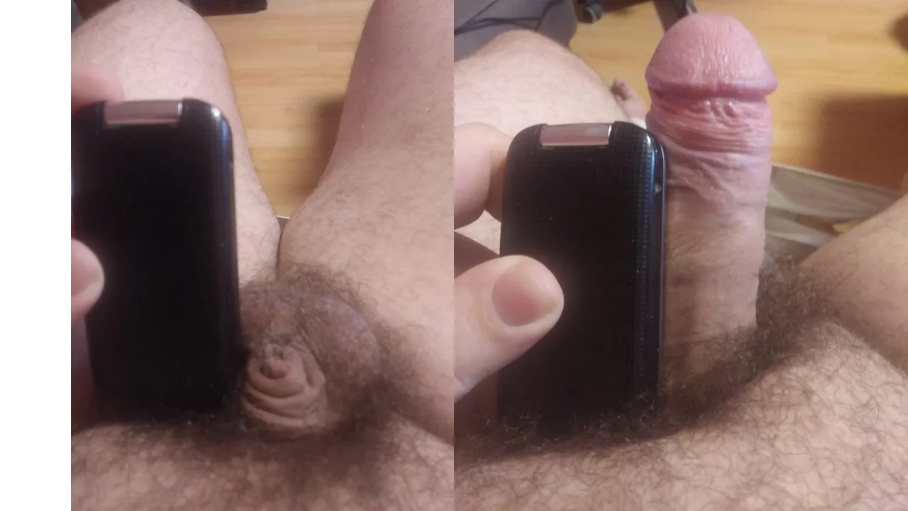 Flip phone for scale