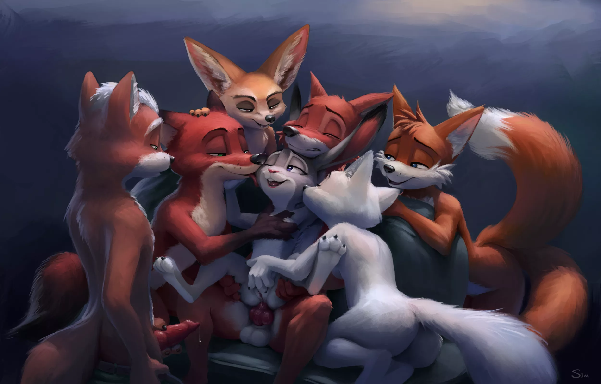 Fox harem (S1m)