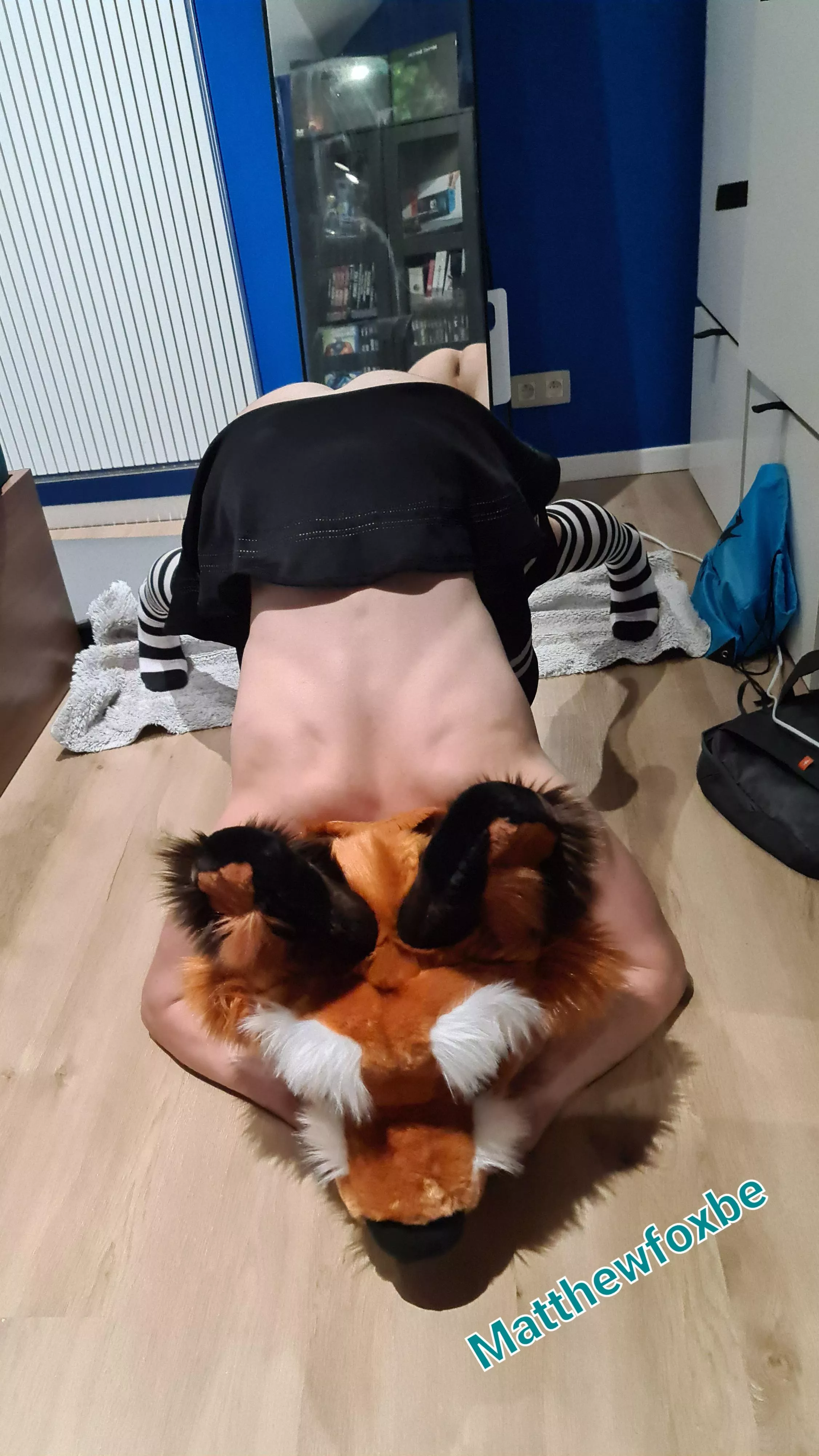 Foxxo is trying to do the Jackopose :3