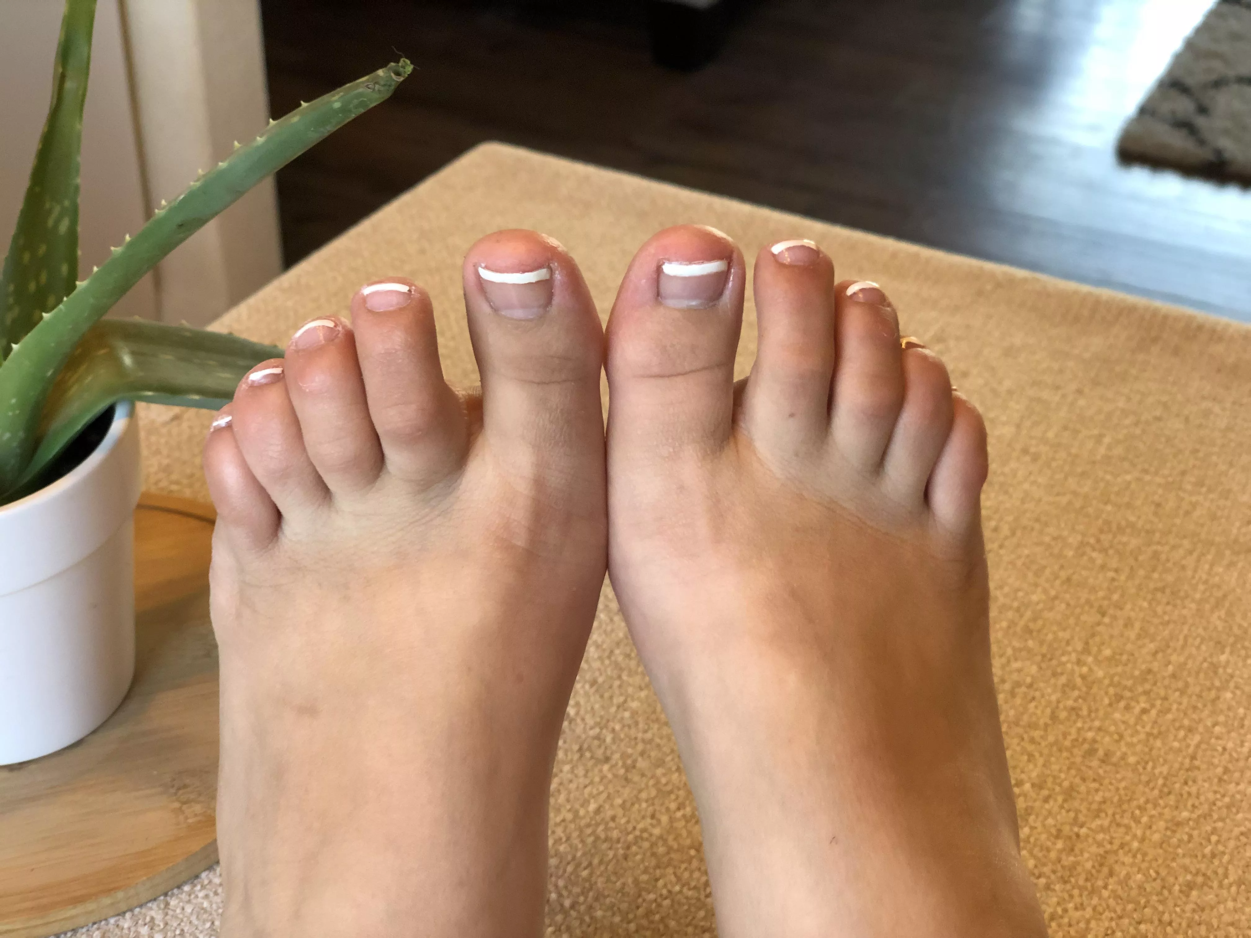 Fresh pedi for the piggies! ðŸ’—