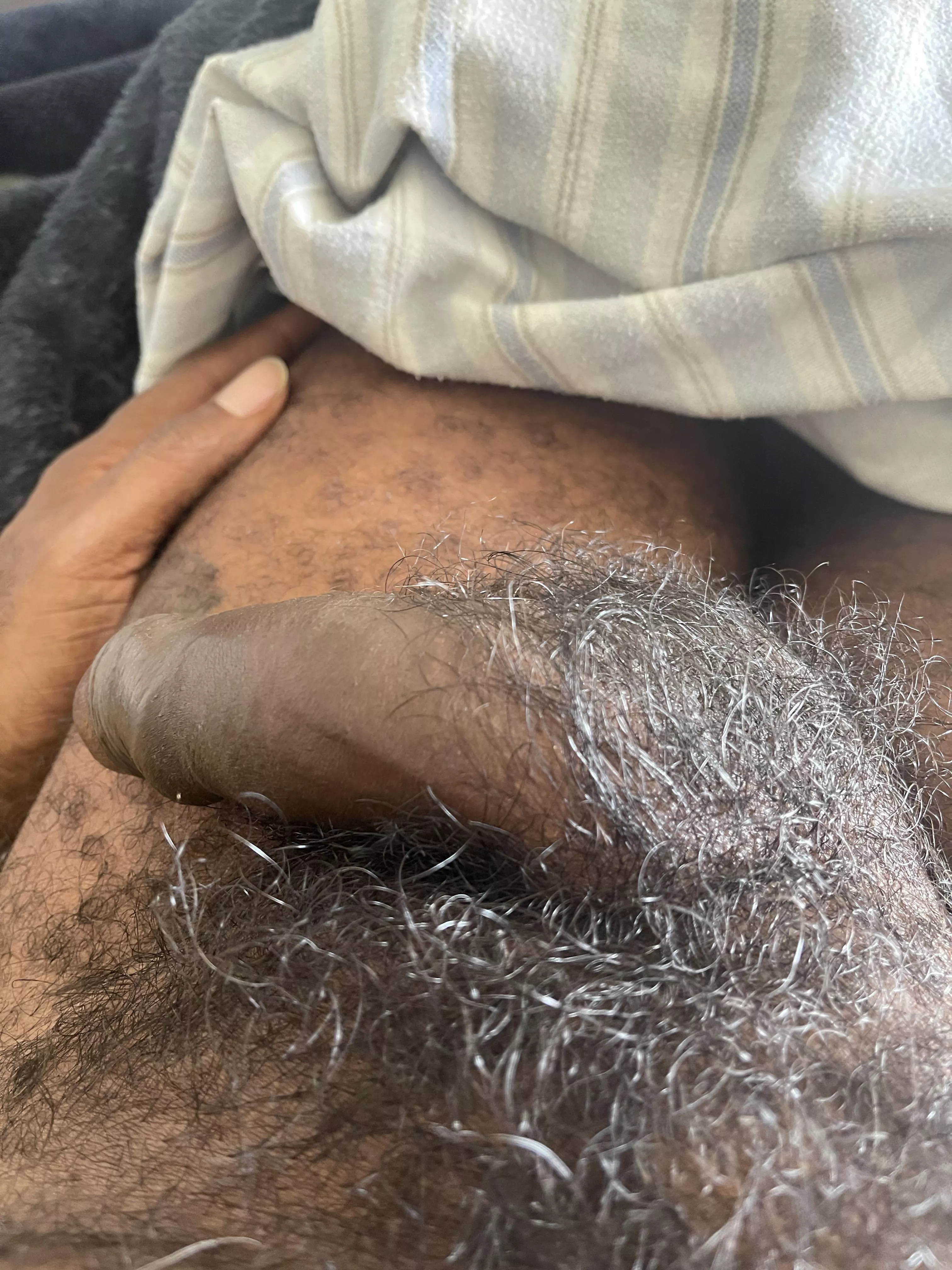 Full pubes