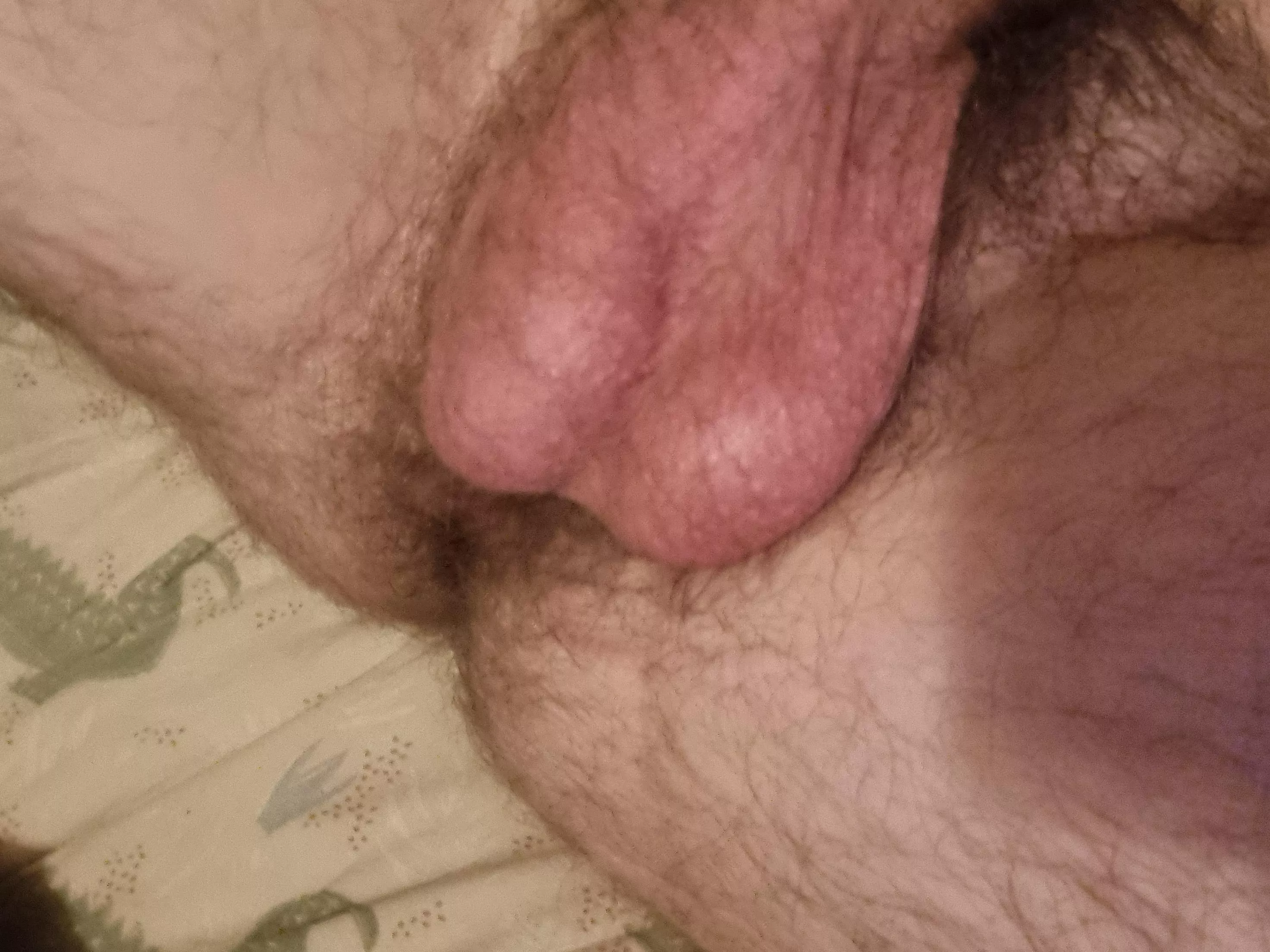 Furry and full