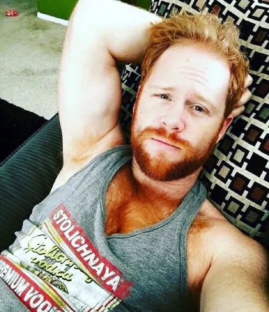 Furry Ginger