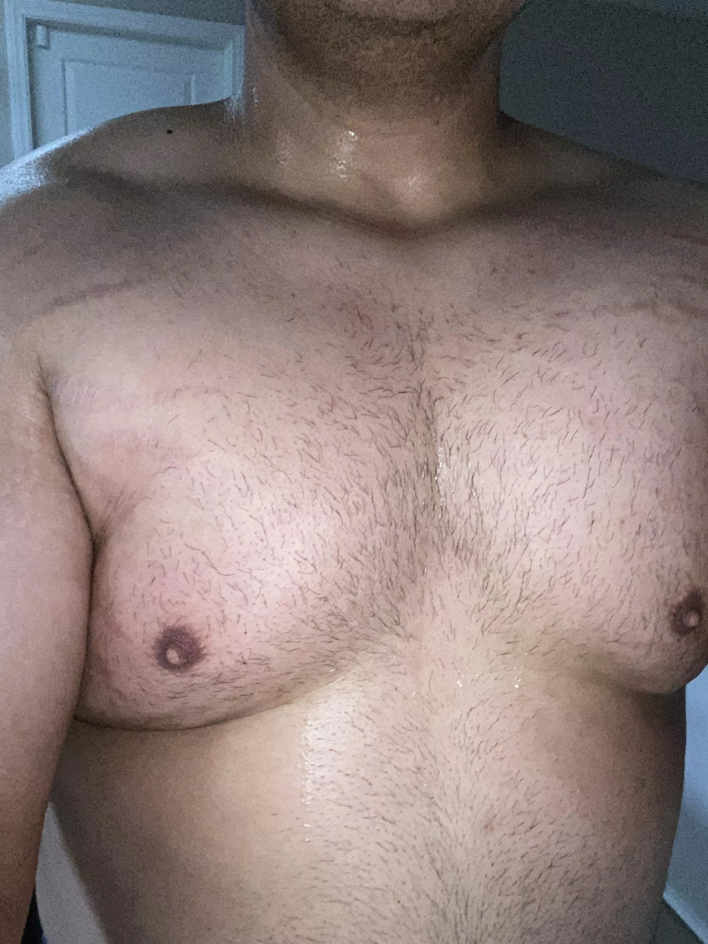 Fuzzy Latino bear. Intraworkout