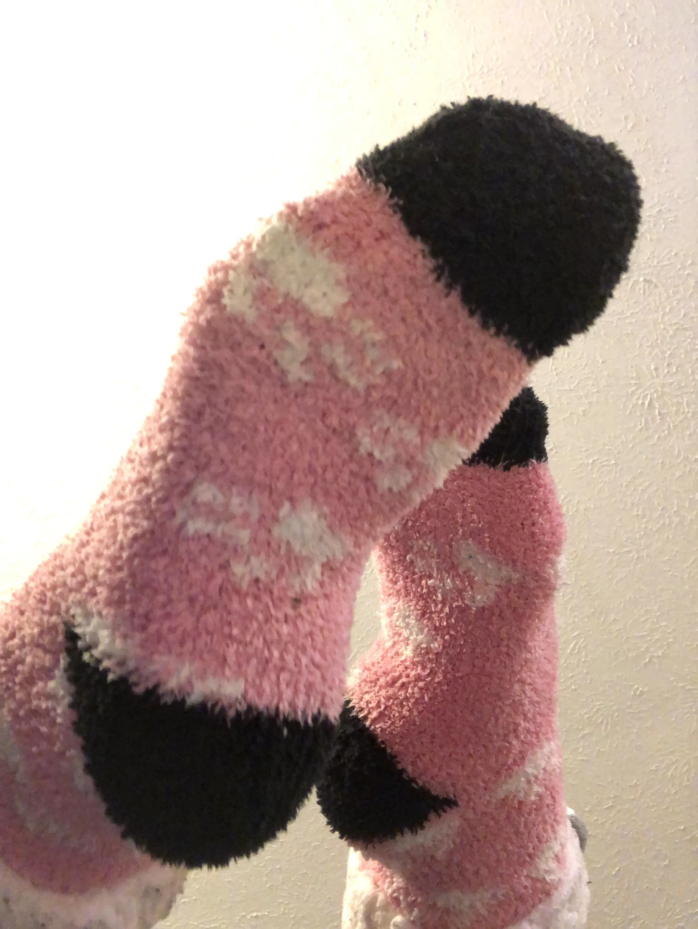 Fuzzy warm socks tonight (F)