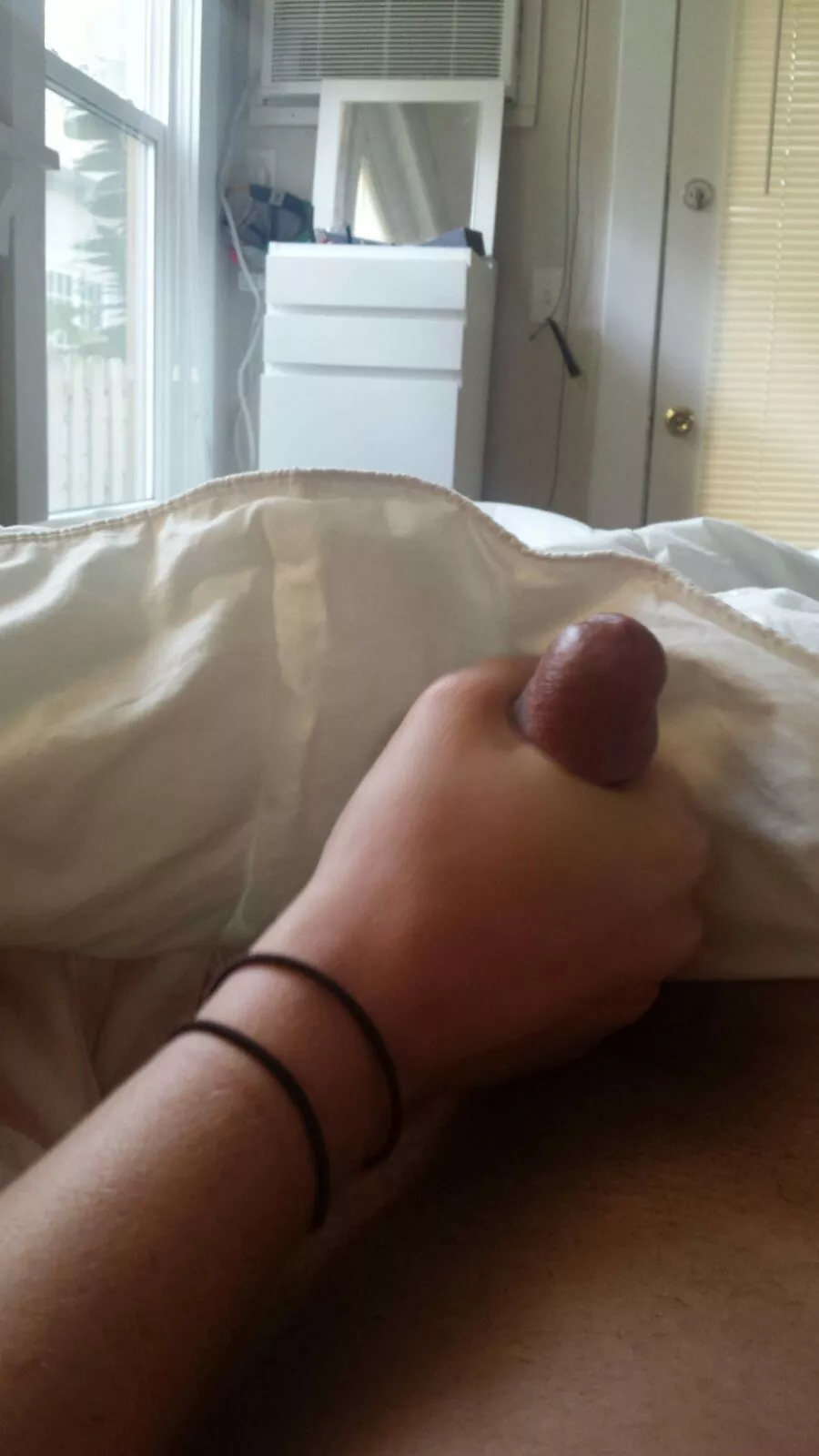 Gf holding morning wood