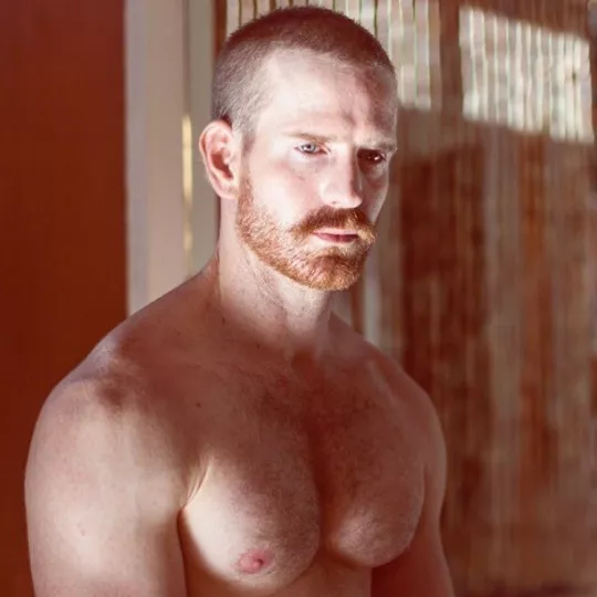 Ginger Hunk (X-Post /r/hunks)