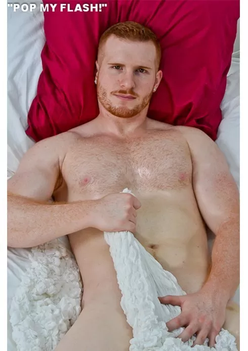 Ginger in bed