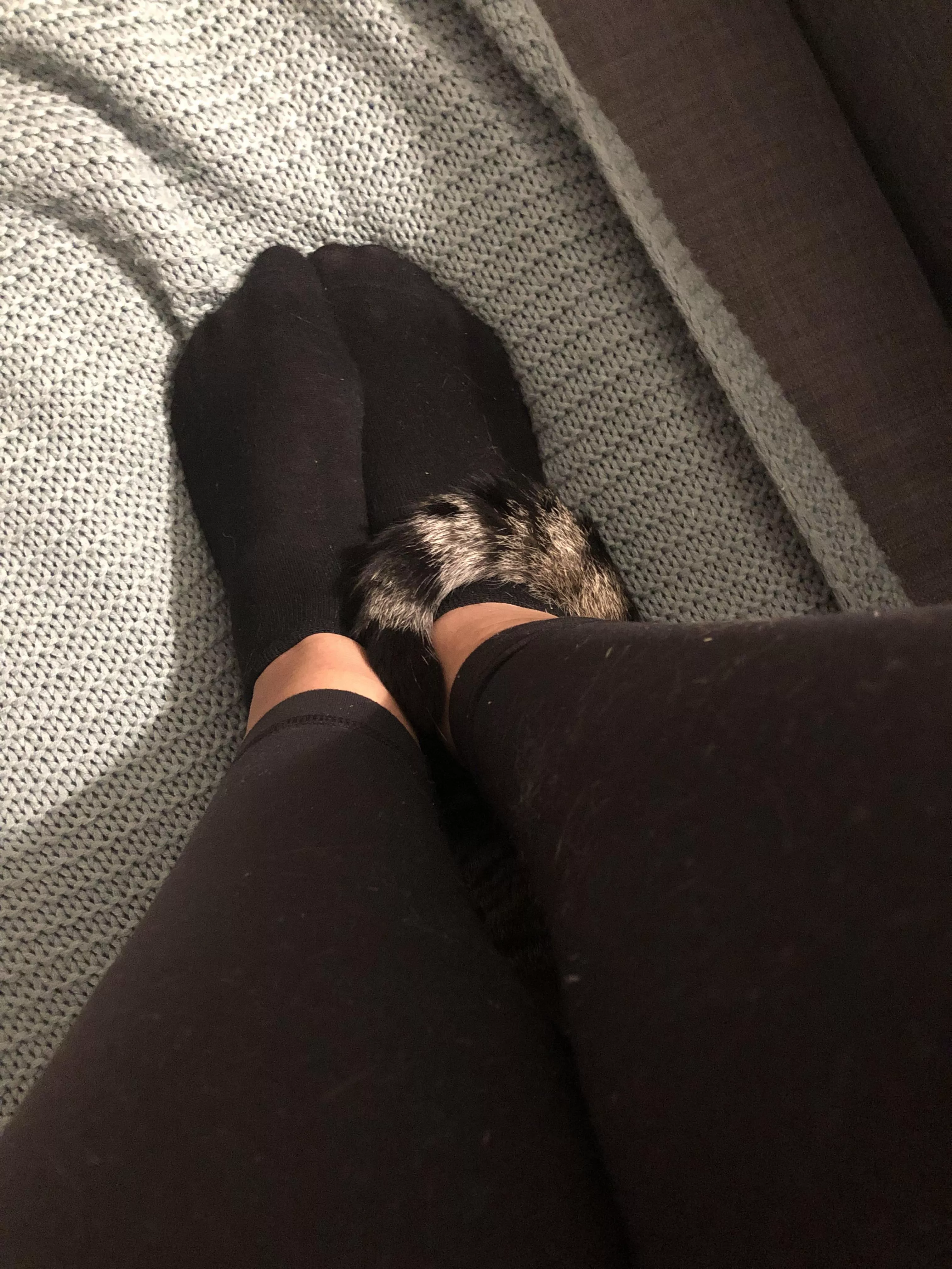 Girlfriend wanted to know what you think of her socksðŸ–¤