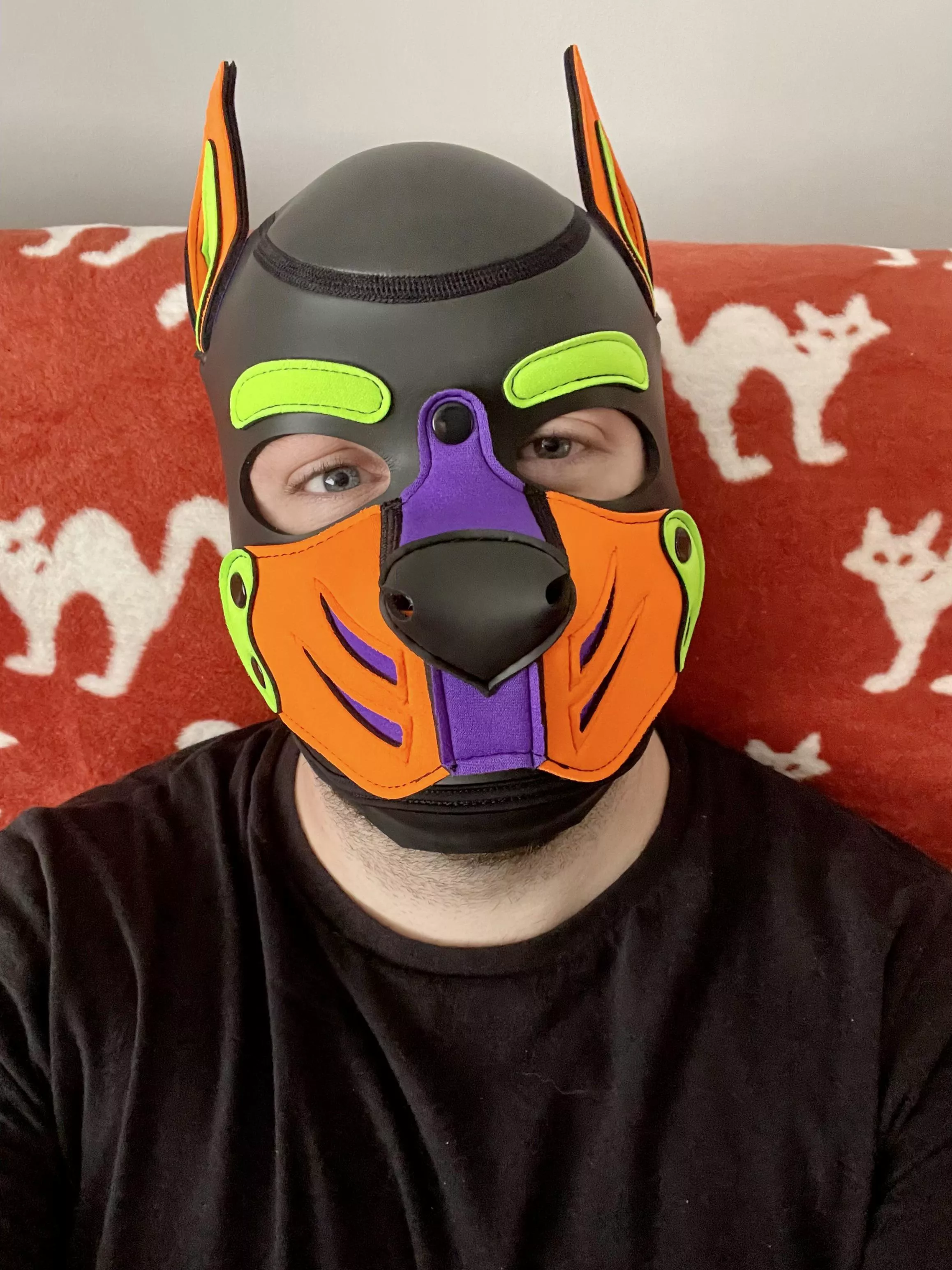 Got my new custom hood today. Thank you Mr S. Do you pups like it? Connect with me on instagram: pup.spencer 🐾