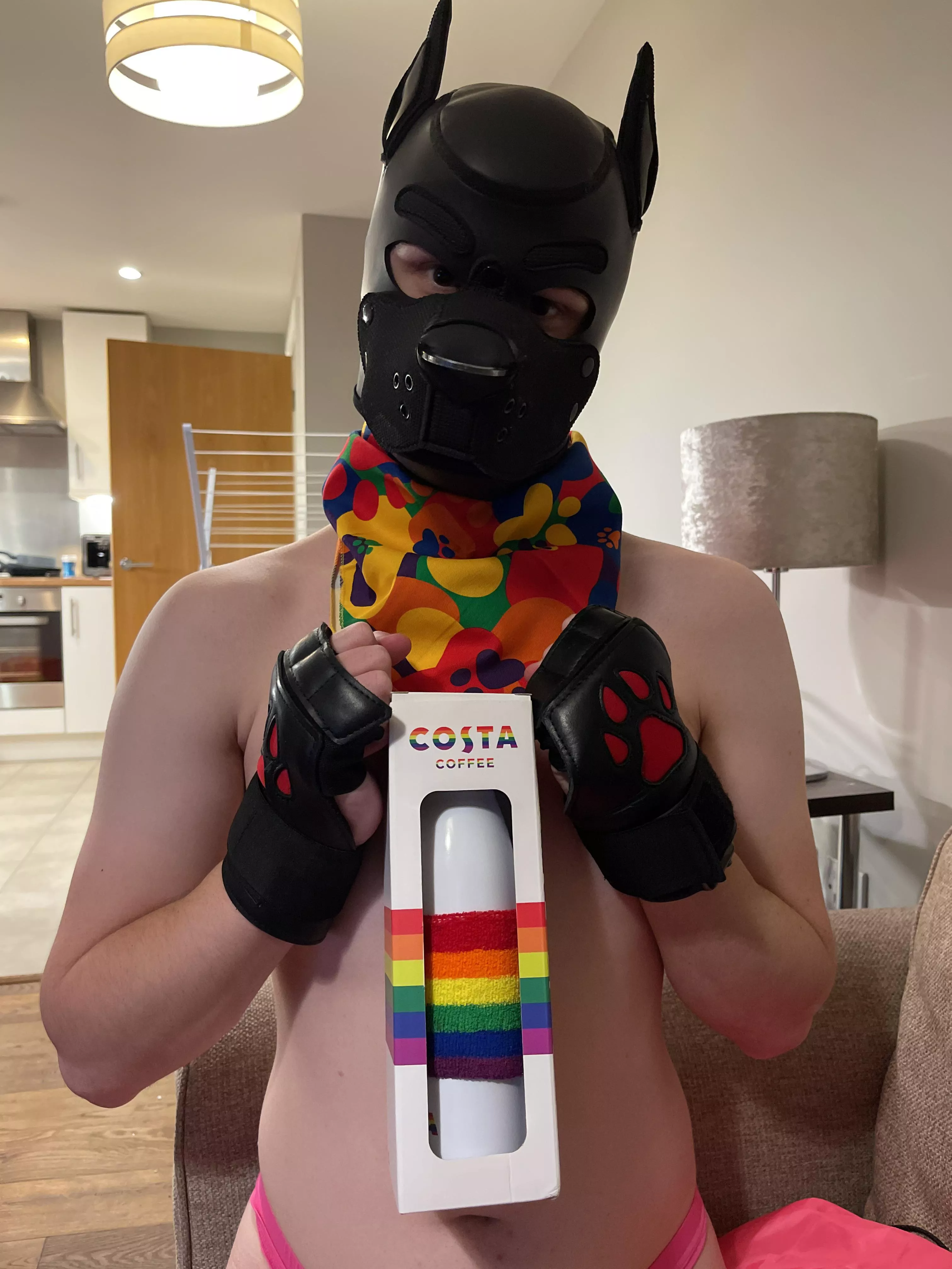 Got my puppy some Pride presents. He seems happy!