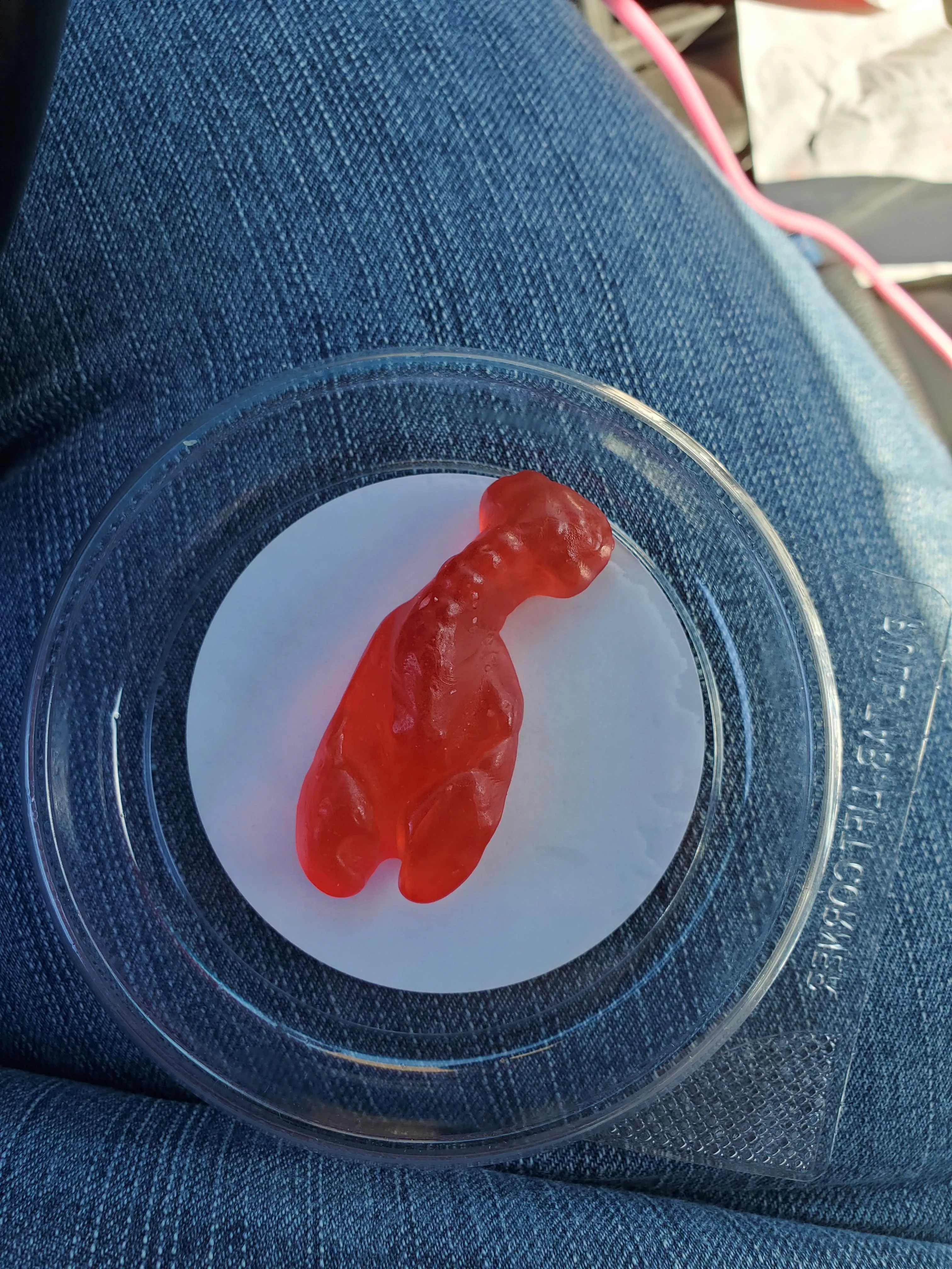 gots some lobster gummies from a place out in Maine!