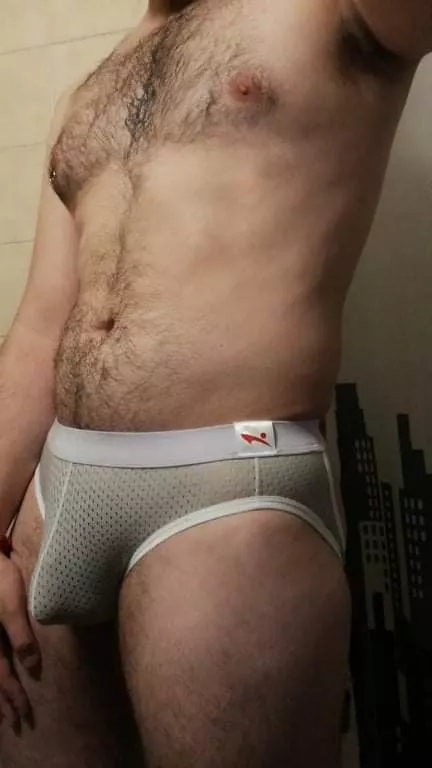 Grey bulges are my favorite