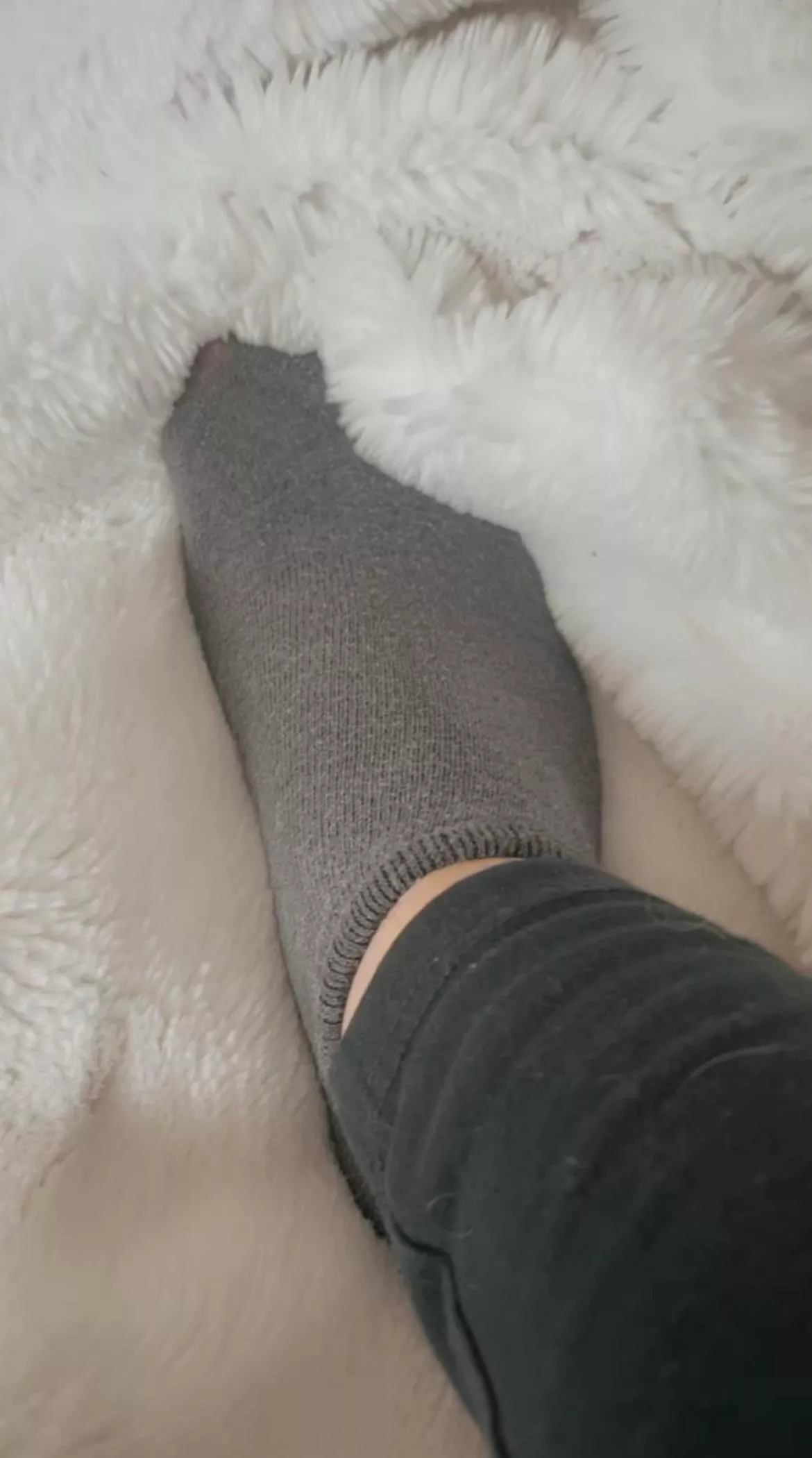 Grey sweaty socks