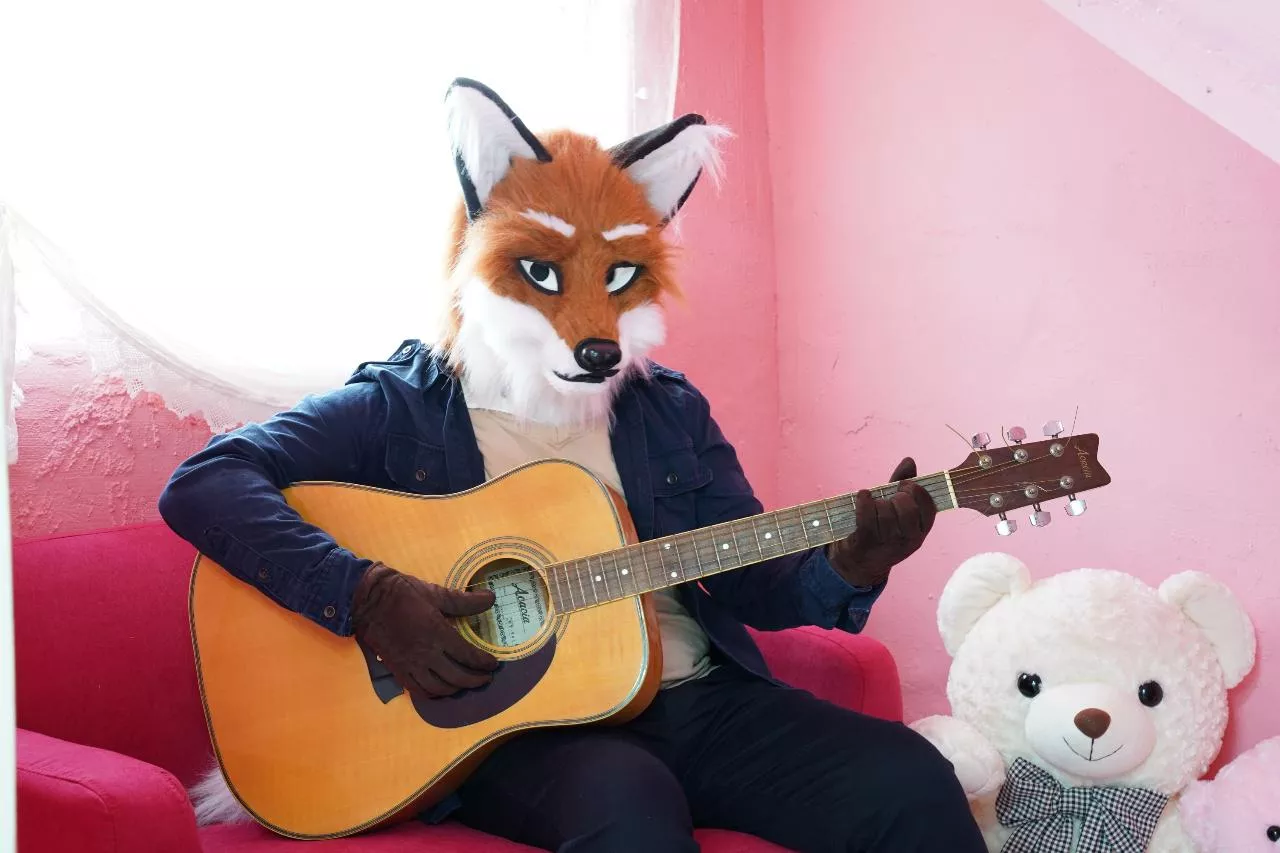 Guitar Playing Fox