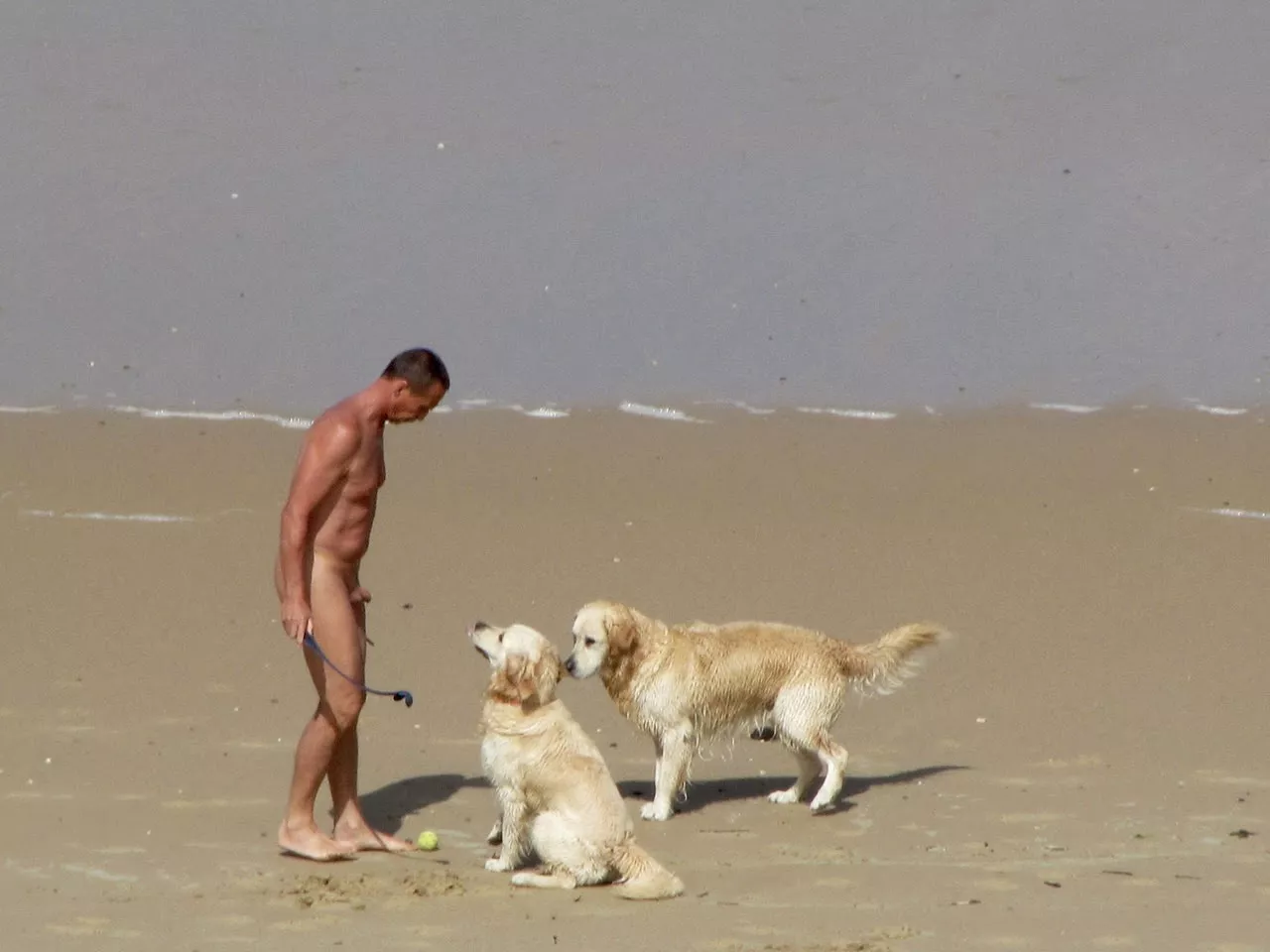 Guys, best place to walk the dogs and play fetch is at the nude beach