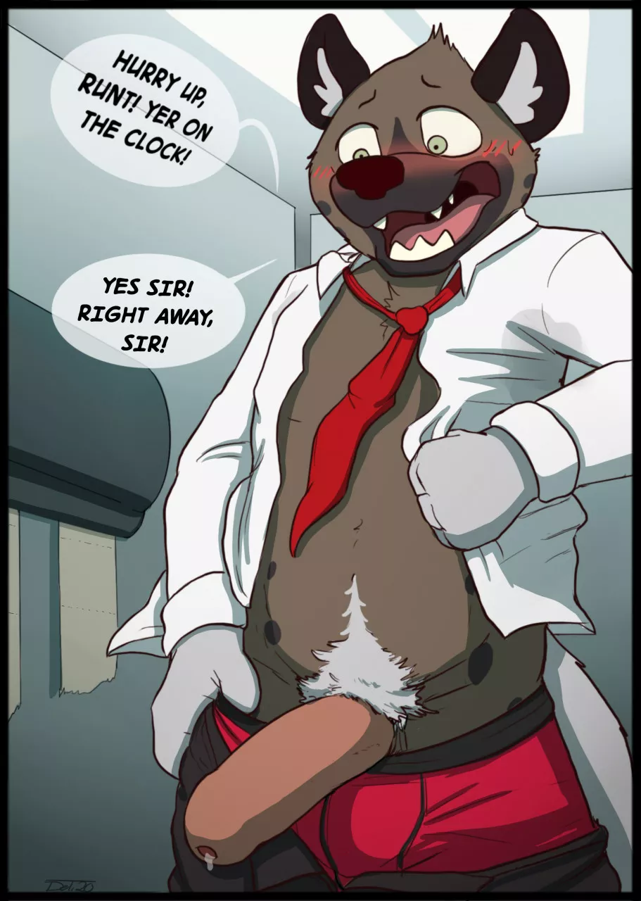 Haida (Delirost)