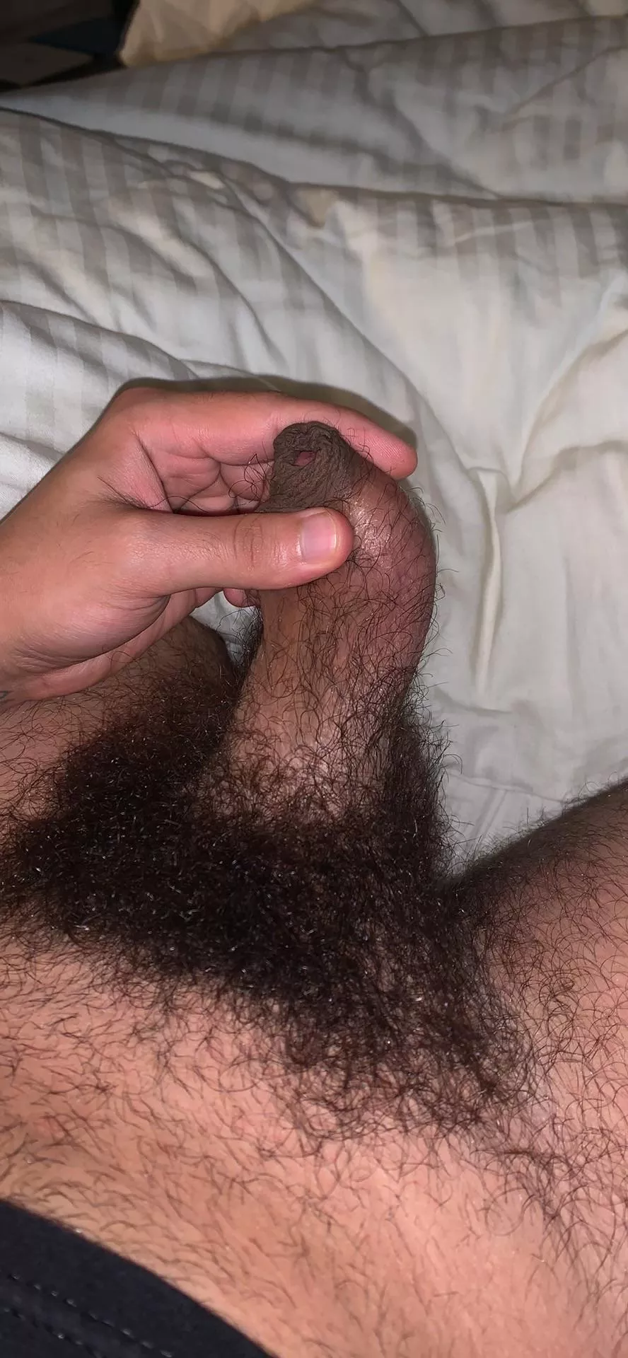 Hairy arab cock