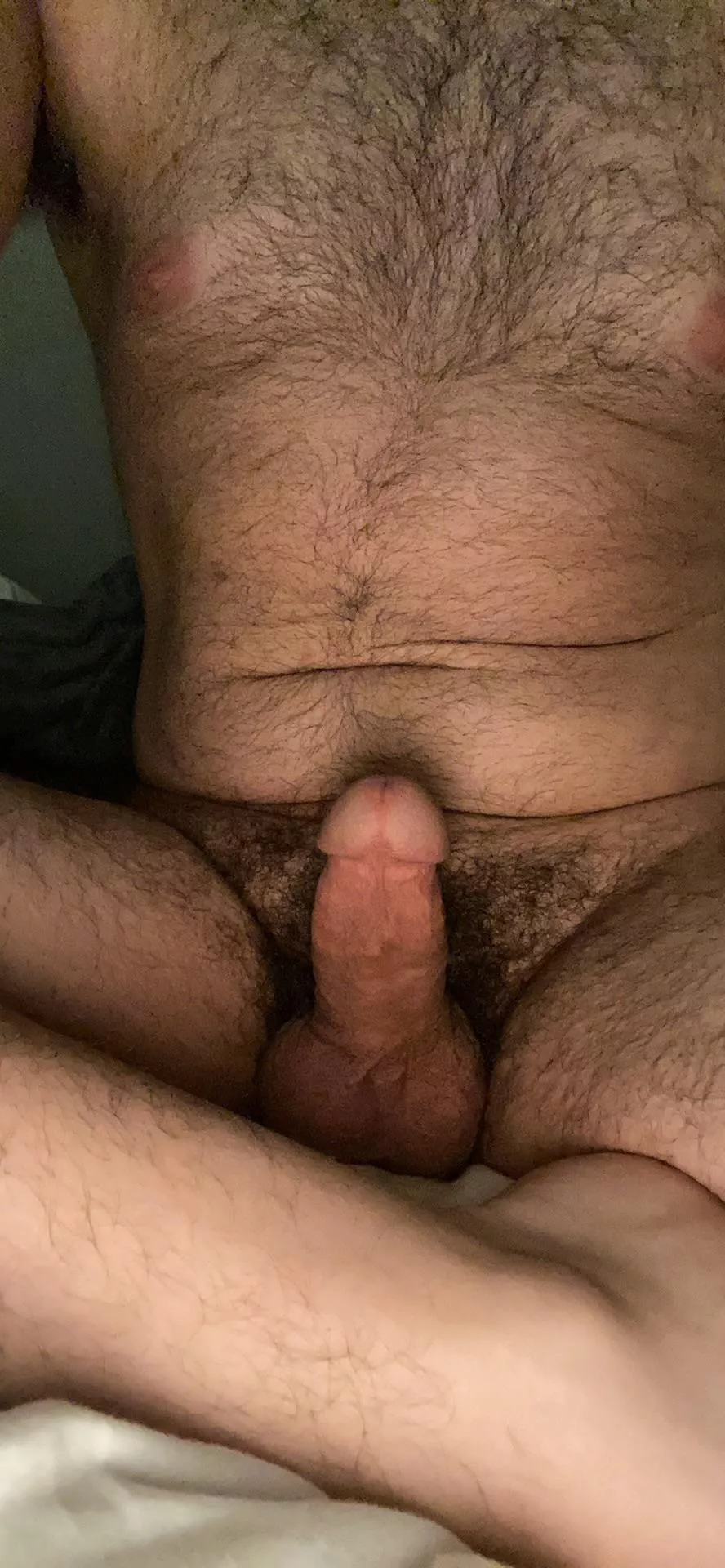 Hairy asf 25 m