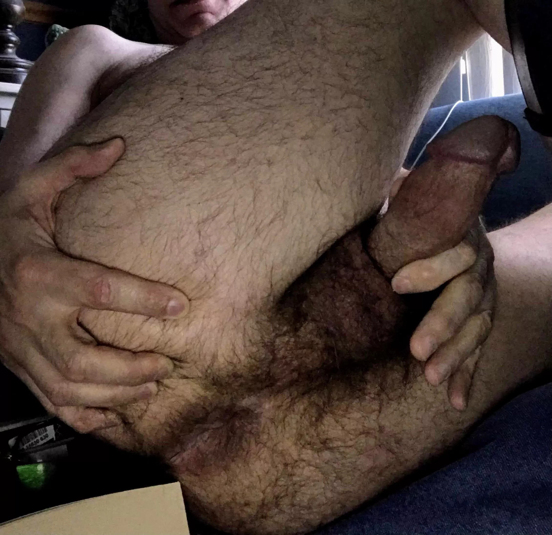 Hairy ass and ballsac