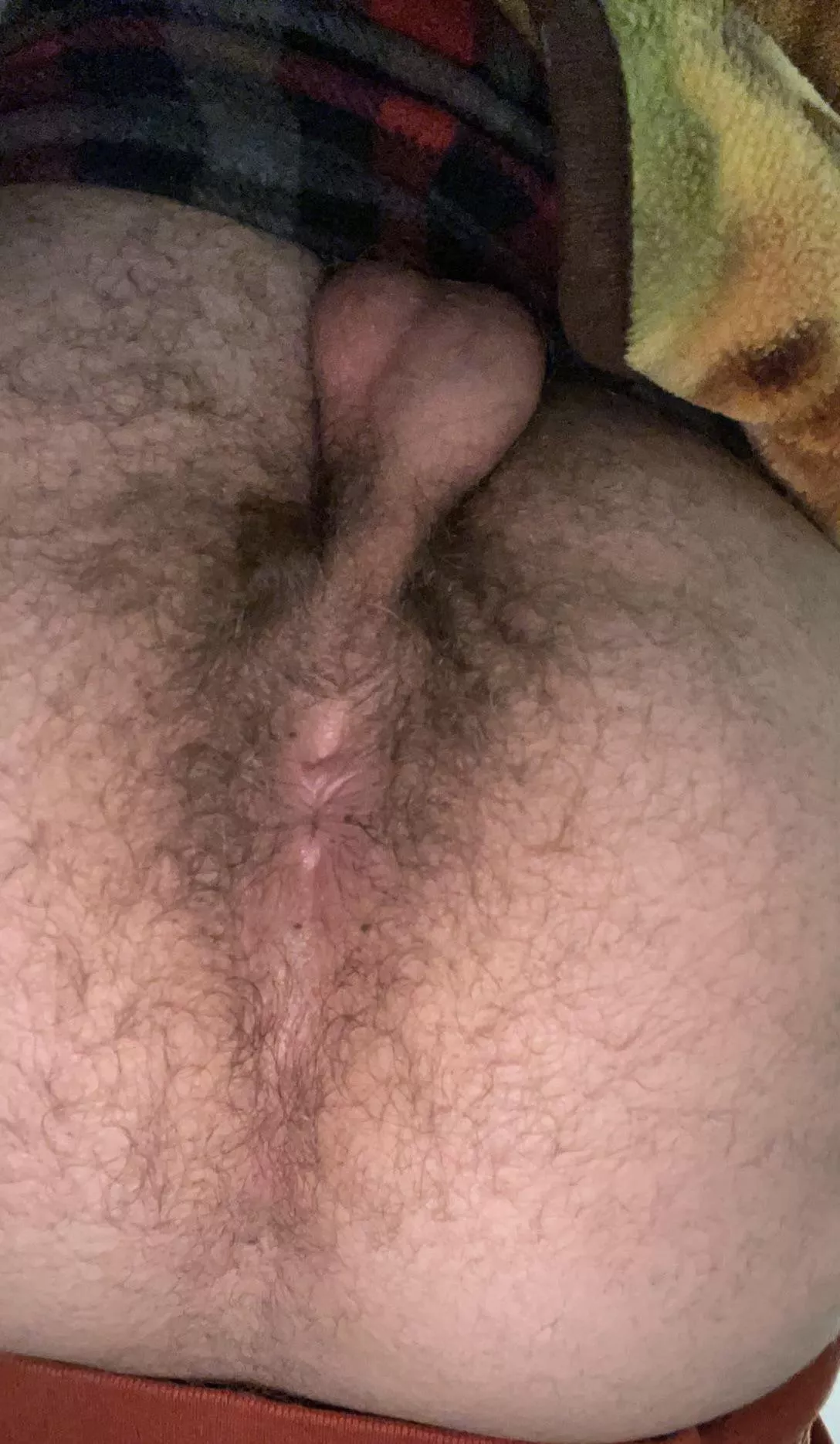 hairy boy hole