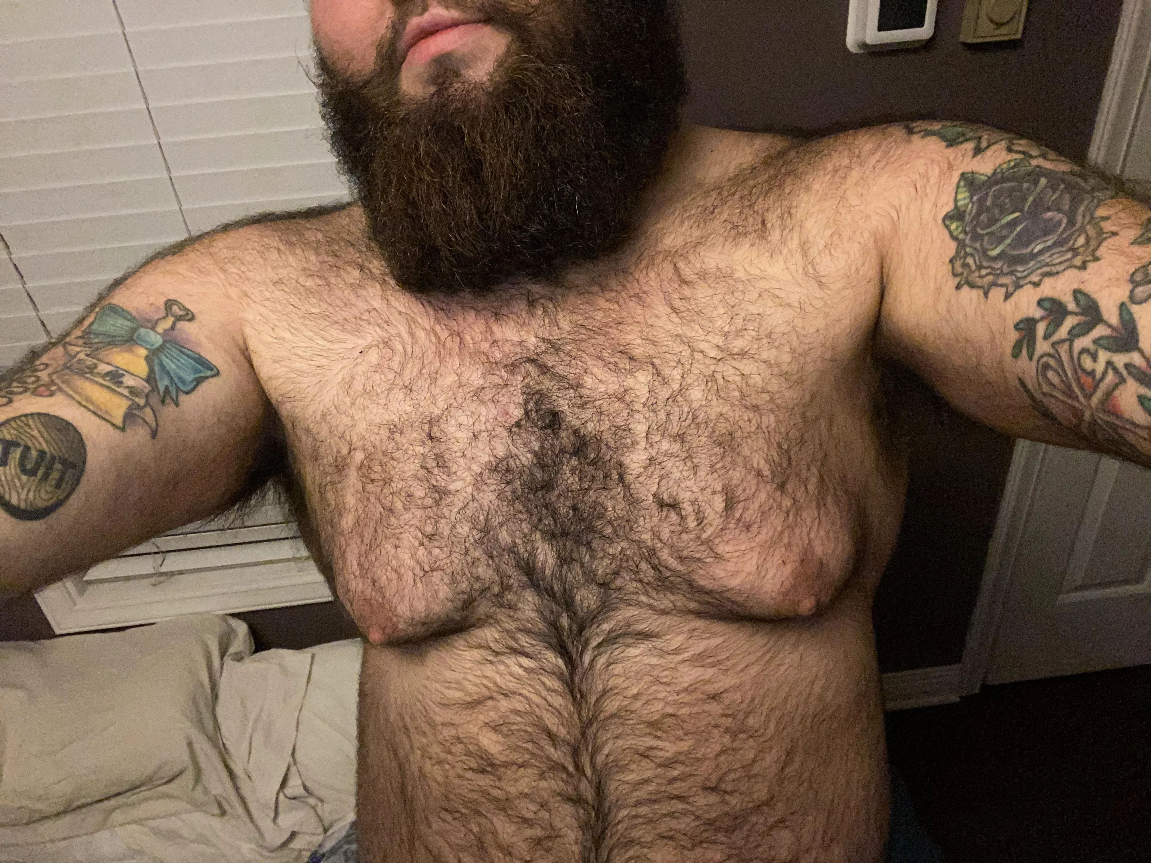 Hairy Daddy ðŸ»