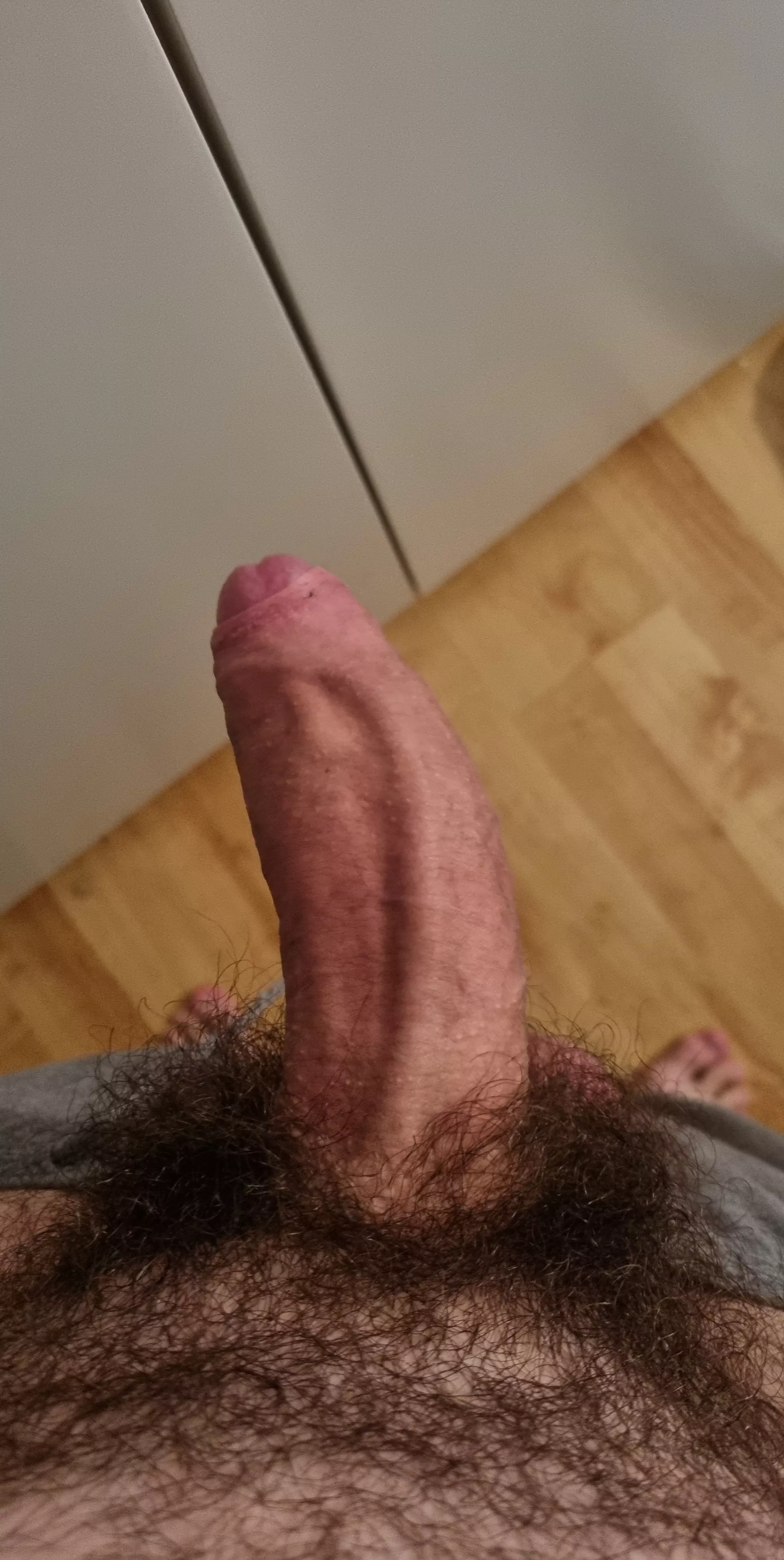 Hairy enough for you sluts