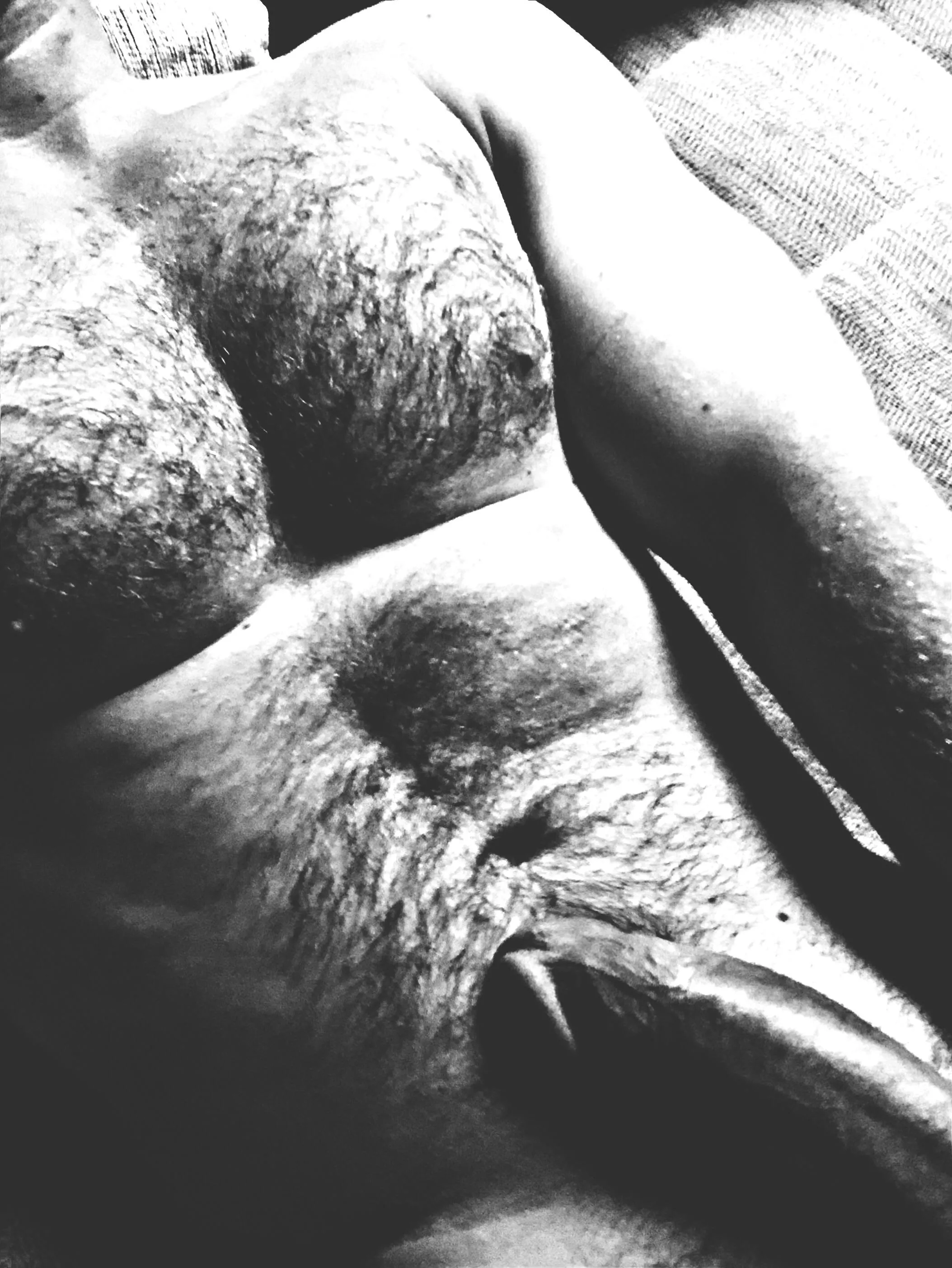 Hairy in B&W