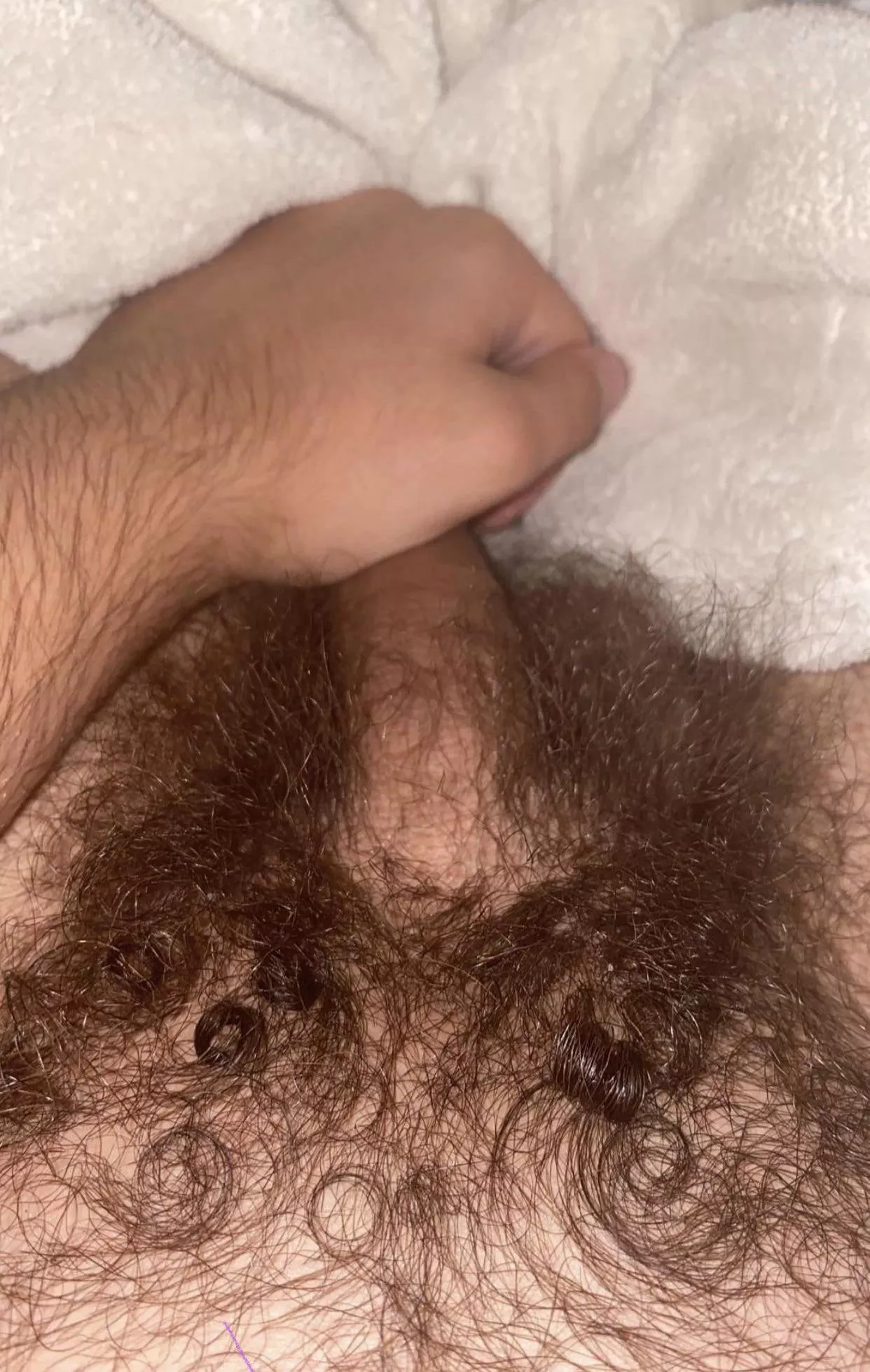 Hairy Jew pubes ;)