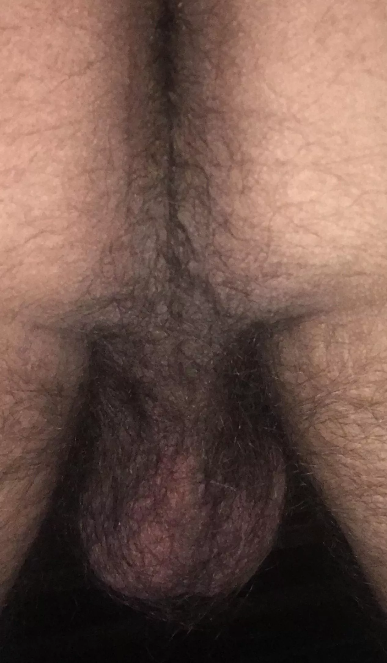 Hairy man ass, I just let it be…..