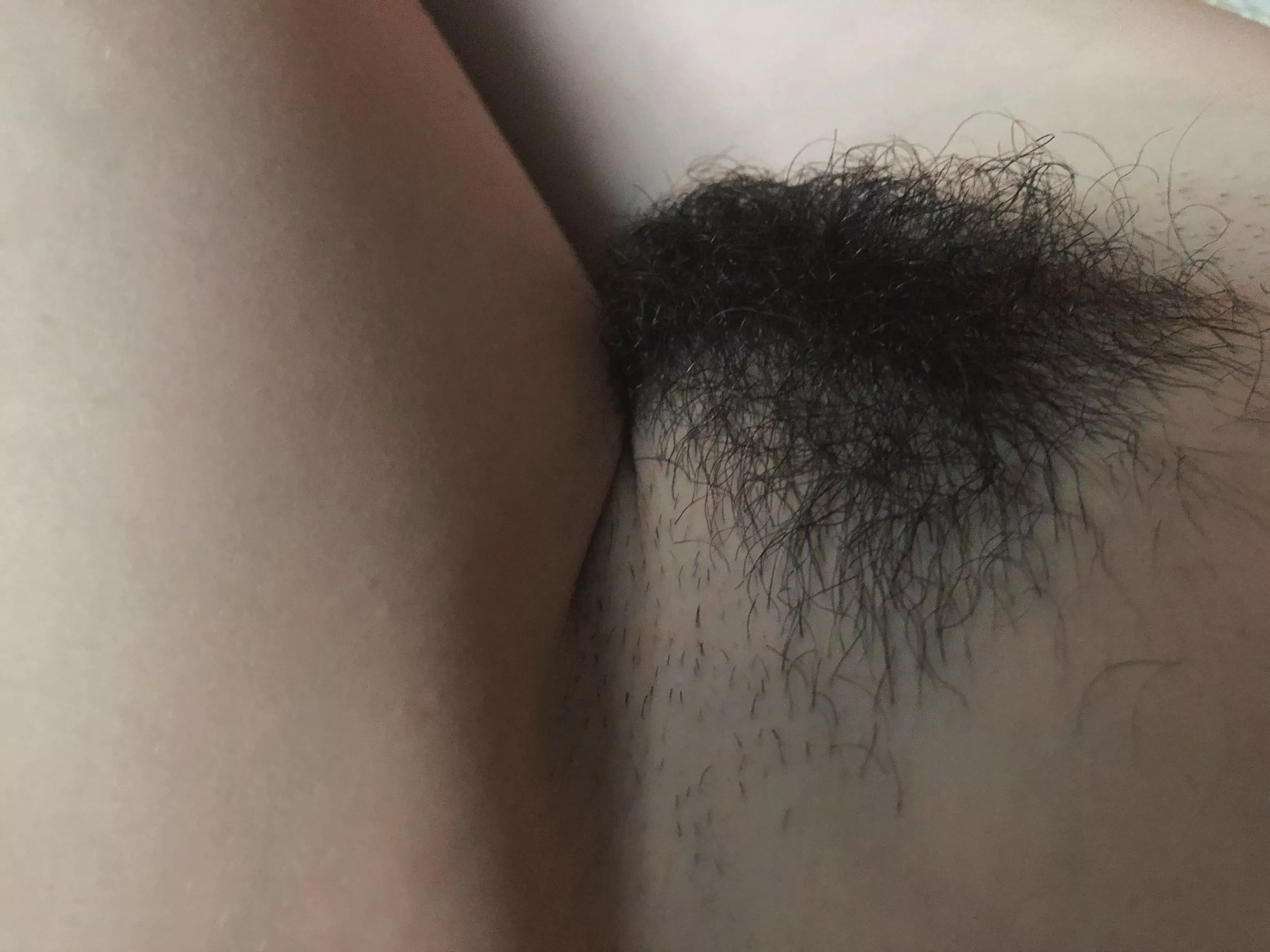 hairy pussy ðŸ–¤