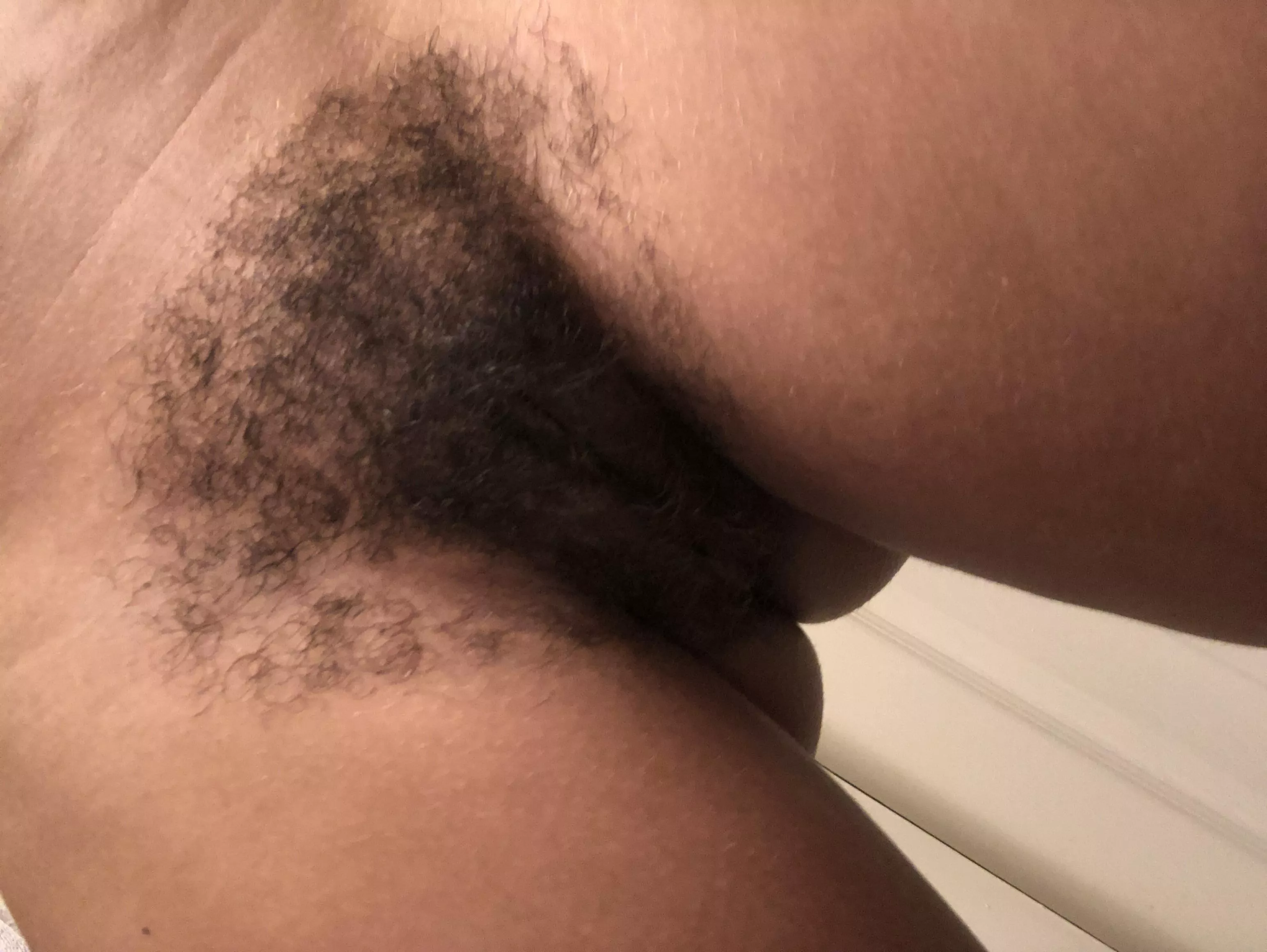 Hairy pussy at your service